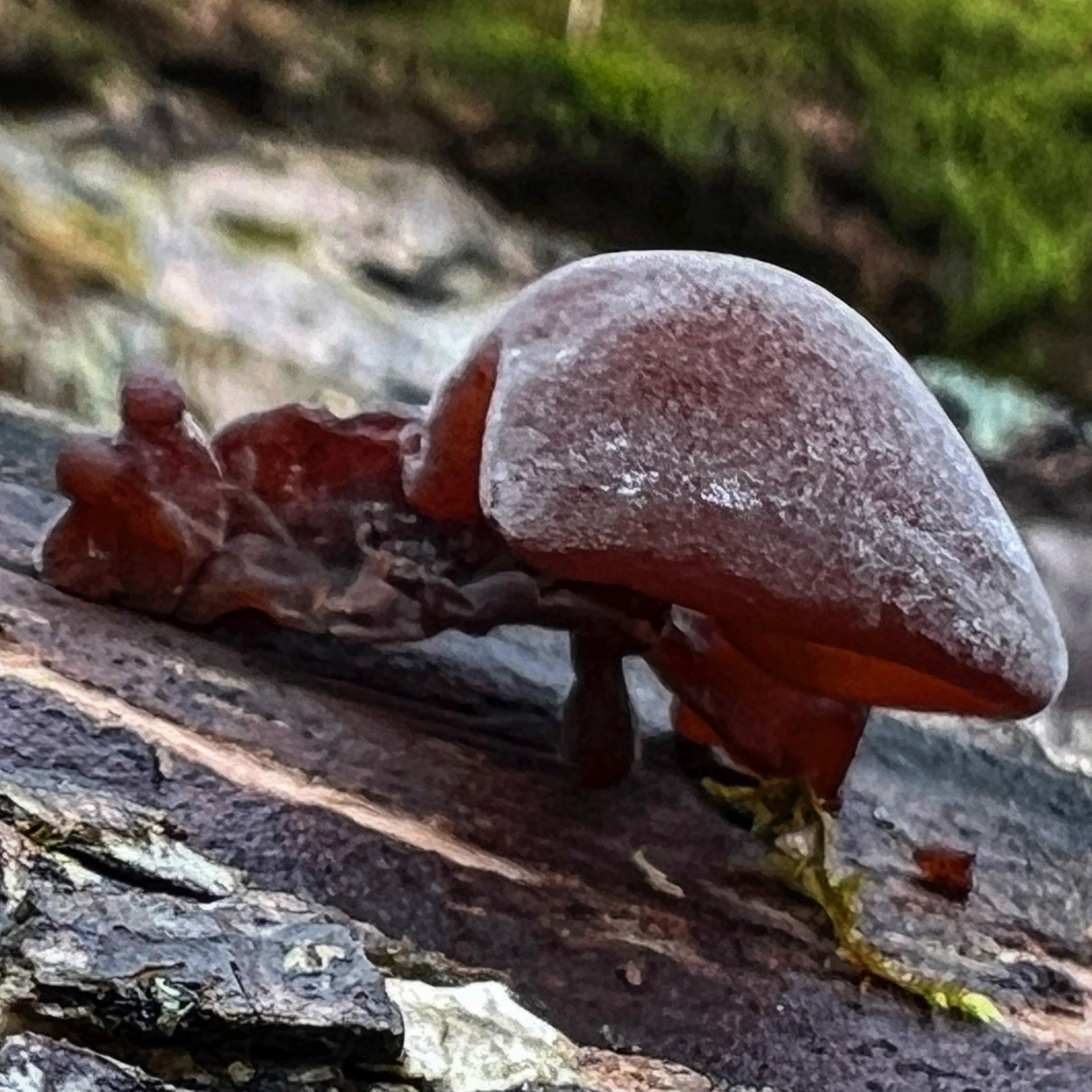 44520C86-EBFD-4EB2-A7CC-ED67F5952821.jpg