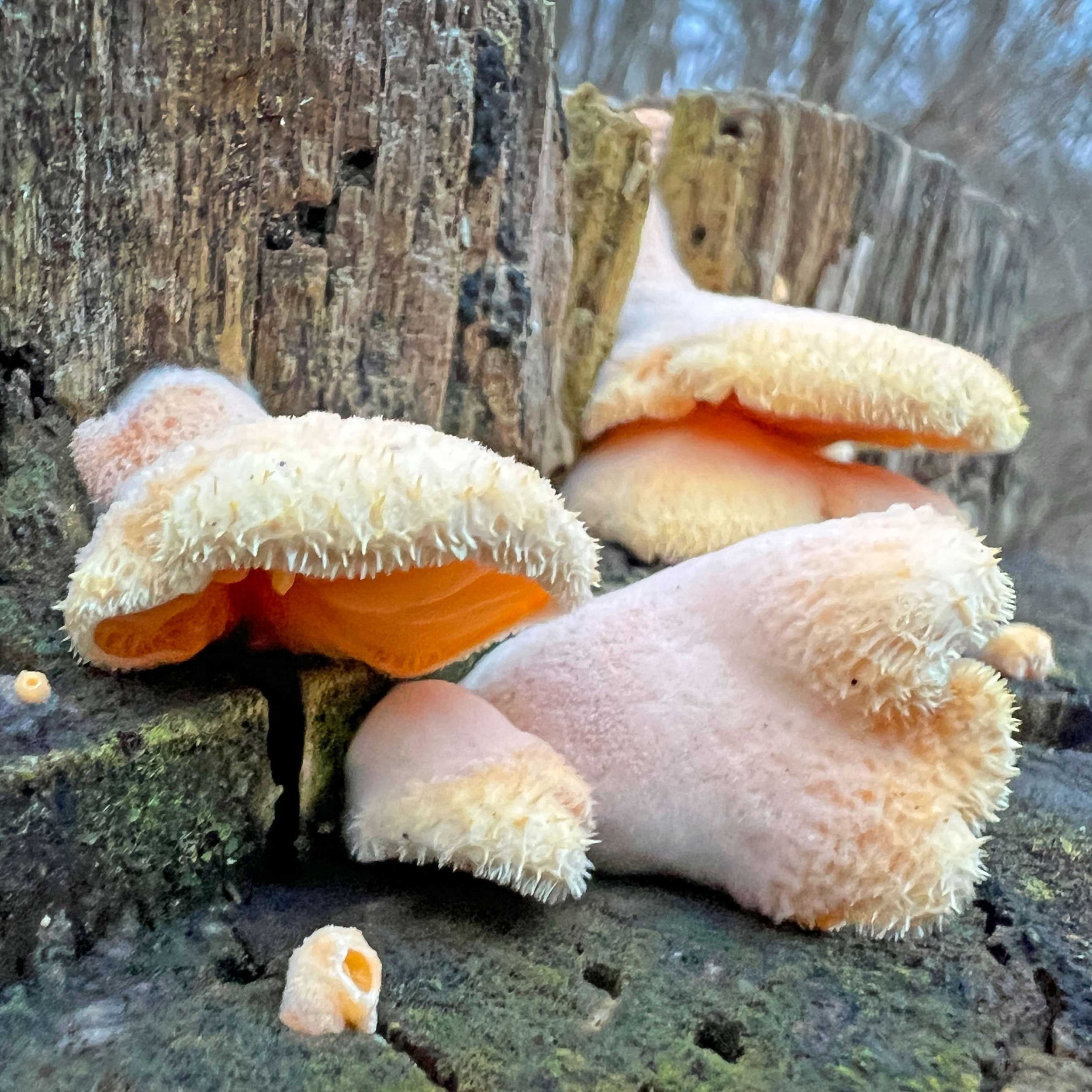 Y471A179-09E8-4B9F-B841-F5DDF4462618.jpg