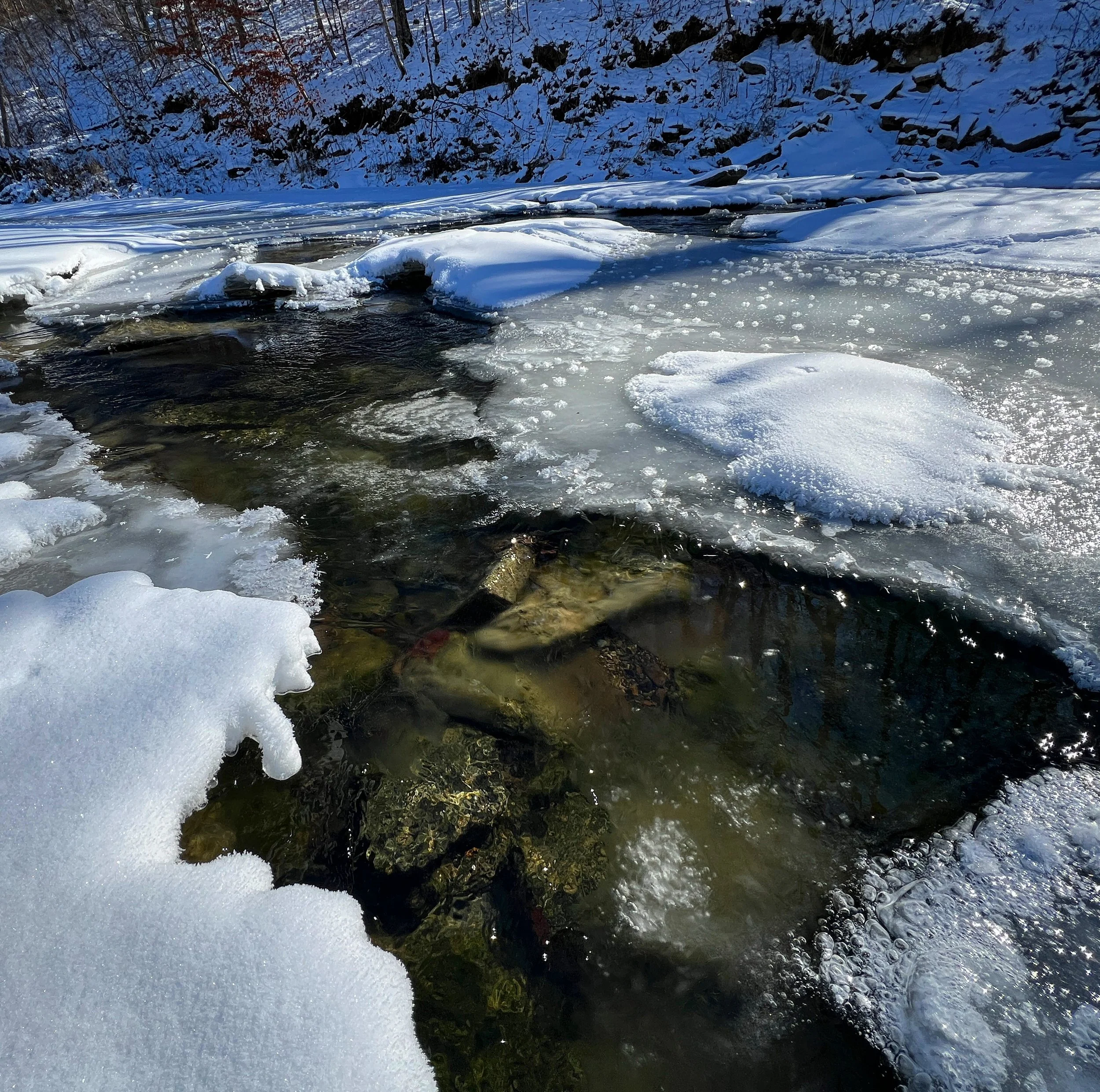 3F693071-B8D5-44B3-96B7-551D999BC04B.jpg