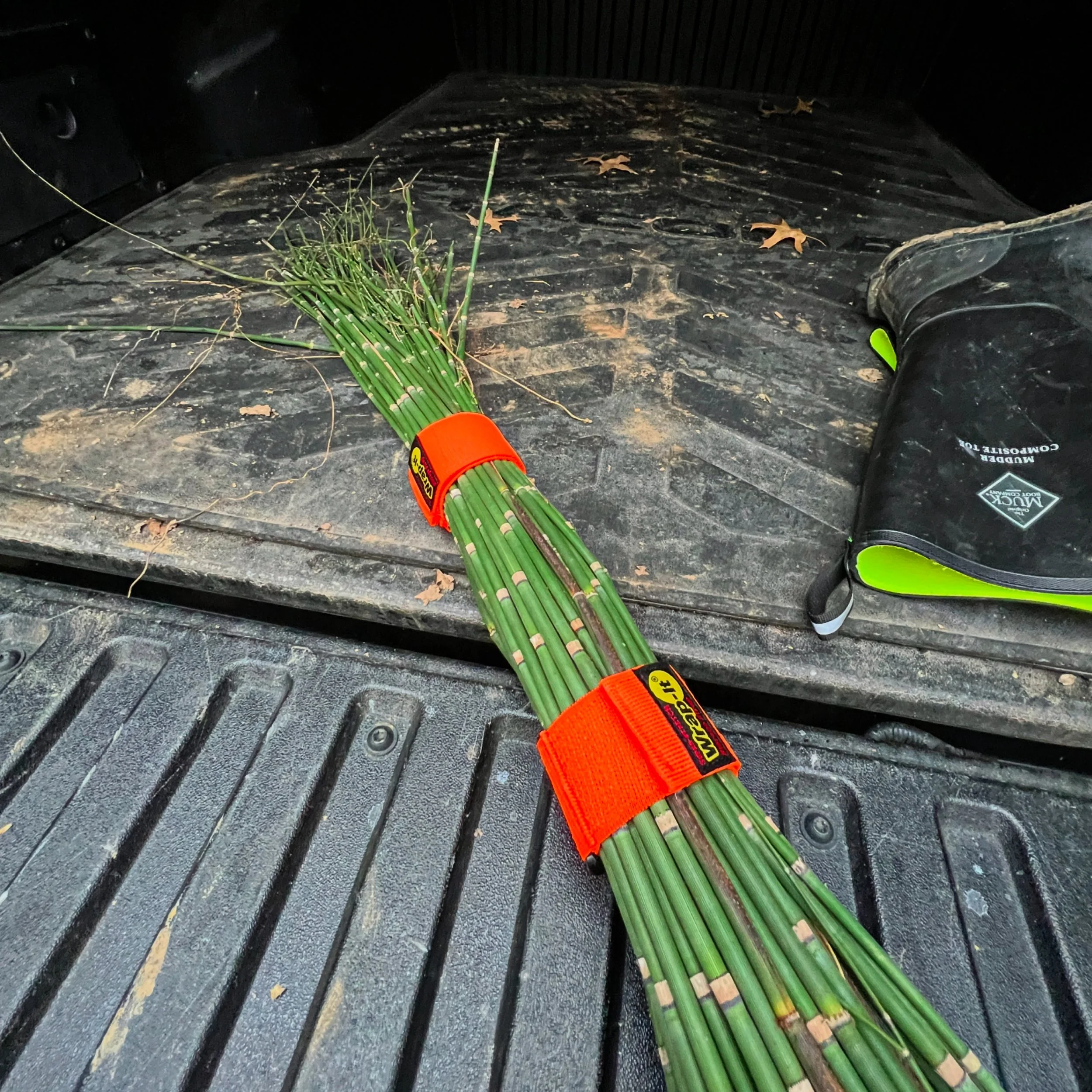 19E01E23-5449-48D4-A0C5-6AE806B2AEE3.jpg