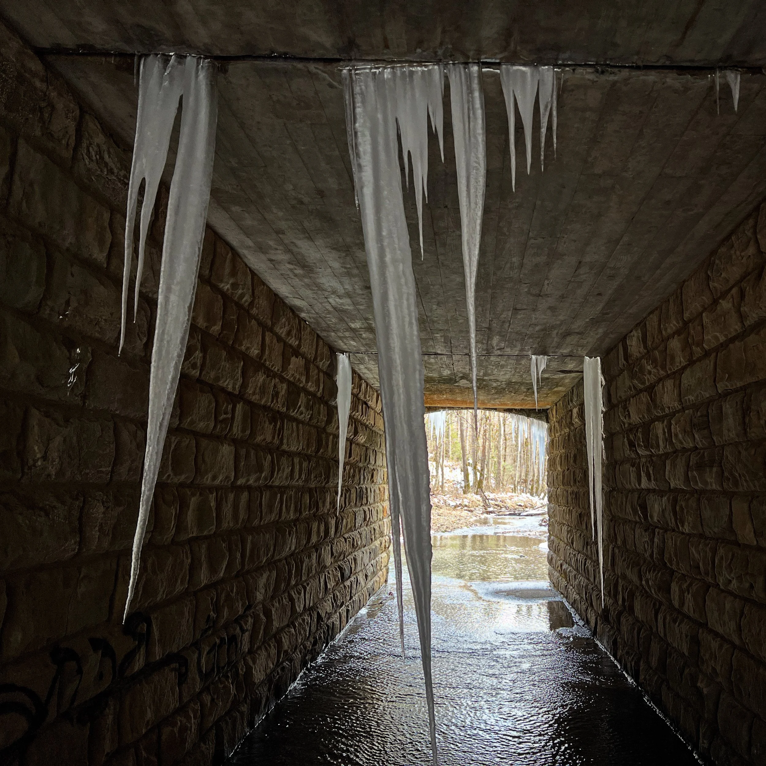 D75B6C45-F2CC-4984-B8A5-E608AA04A5C8.jpg