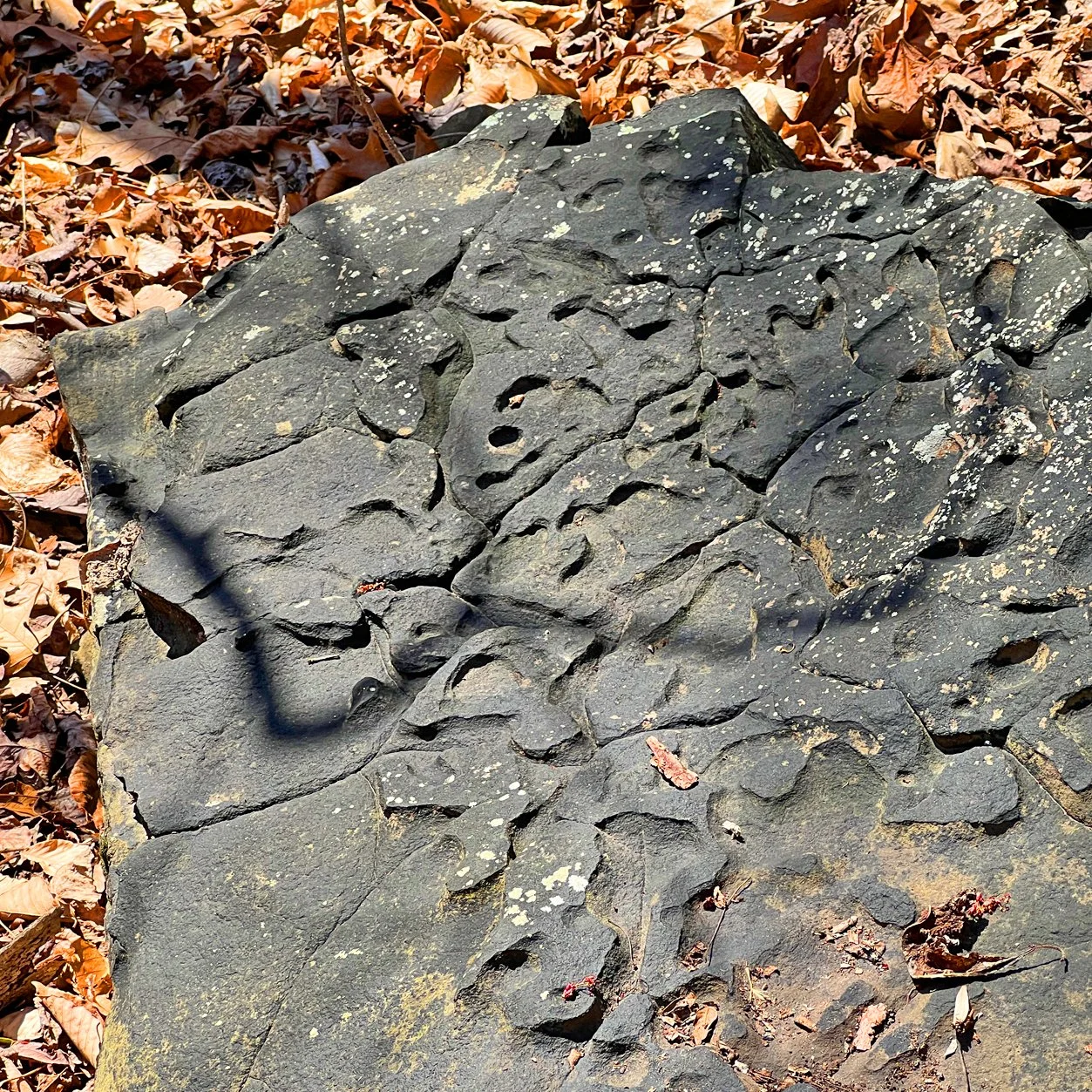 crazy-stone.jpg