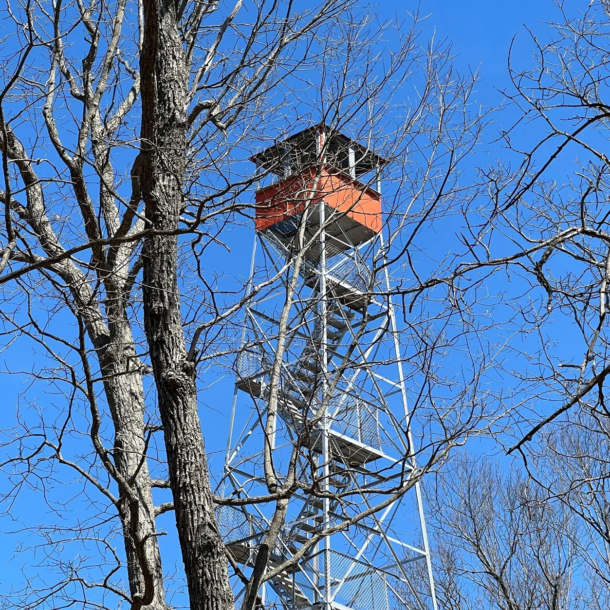 tower.jpg