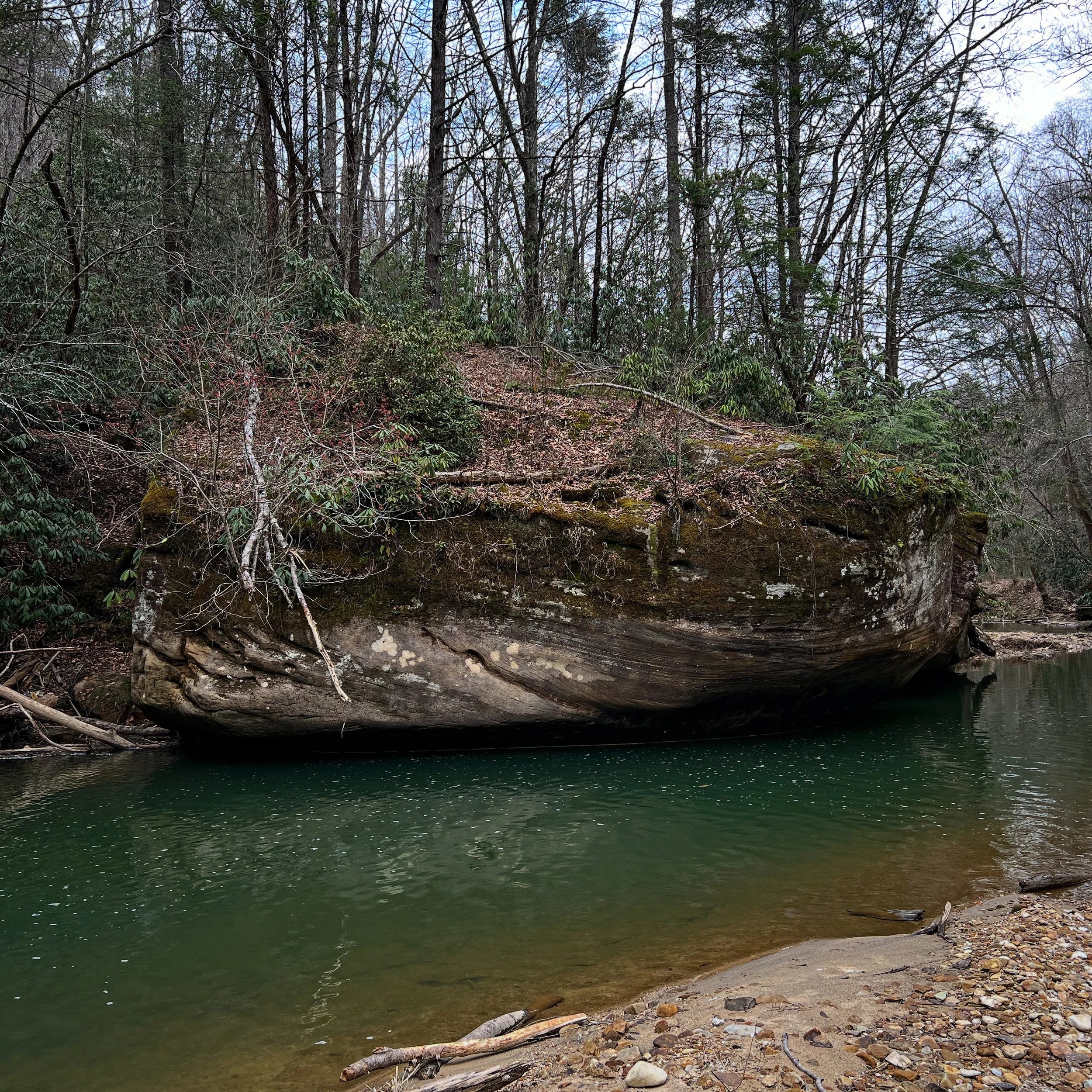 05EAB096-7699-4881-9C44-E4D7CF09C379.jpg