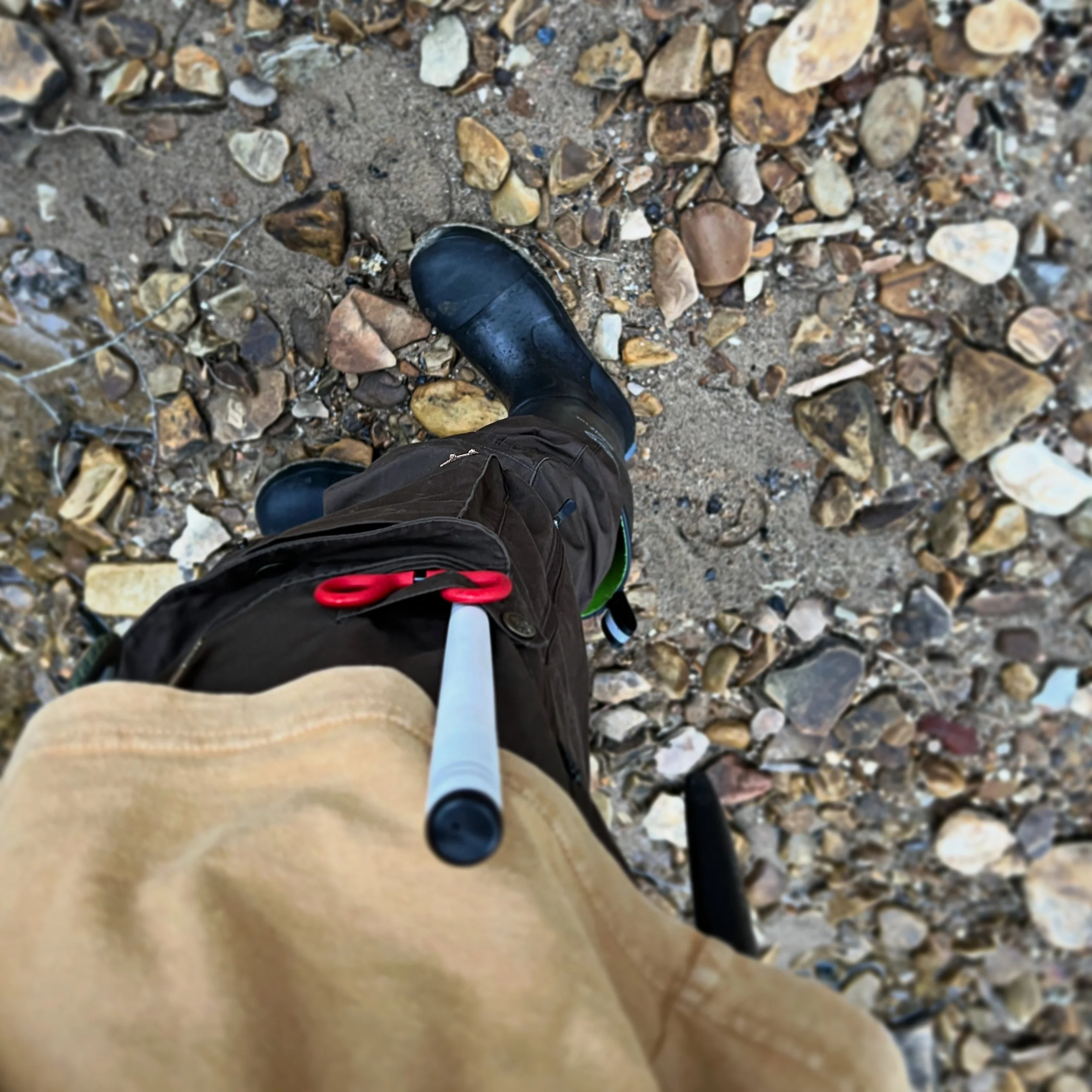 C0742105-A9D9-429C-B936-CCD64F3C4F9F.jpg