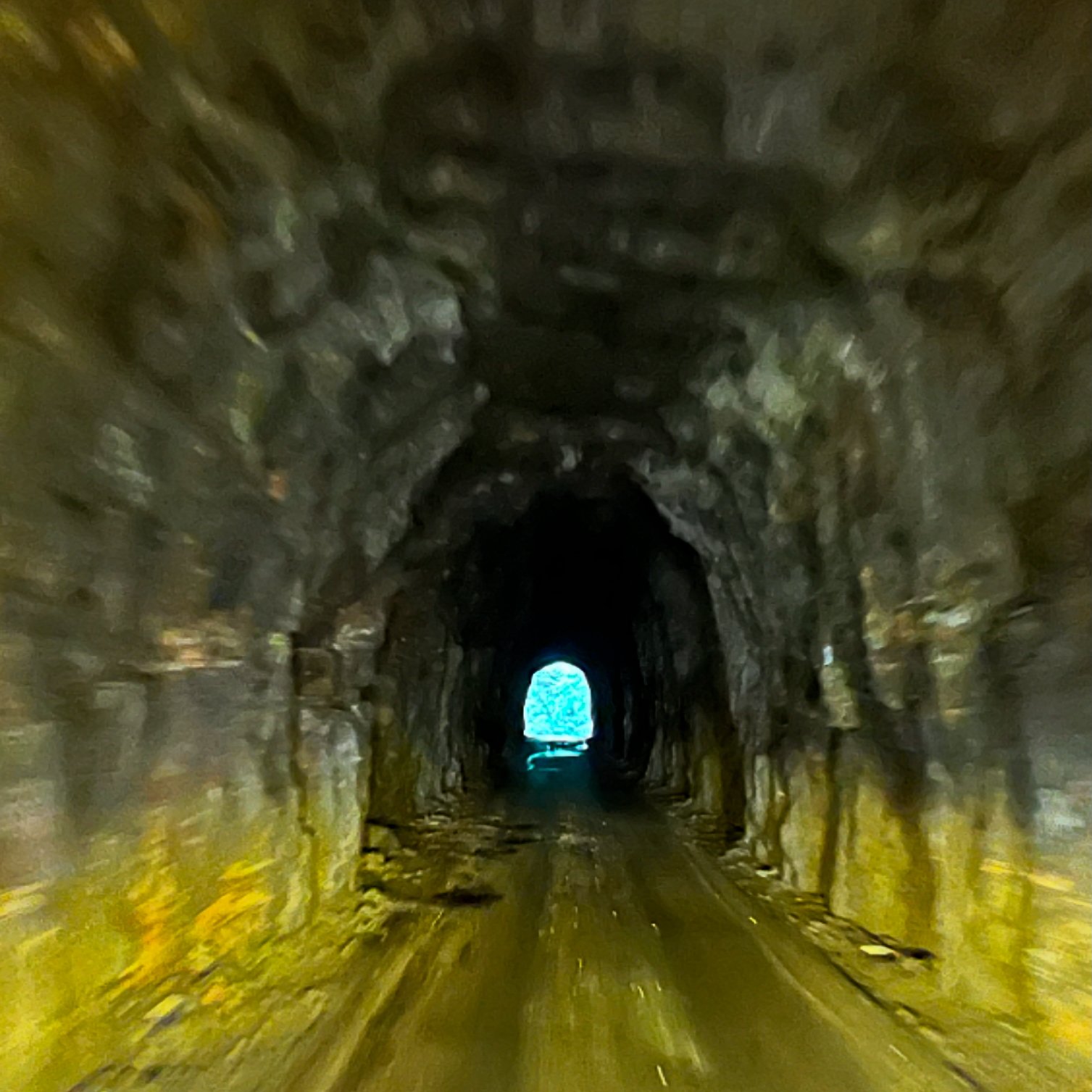3D87D4D7-49D7-4F28-8D34-94D4E3279962.jpg