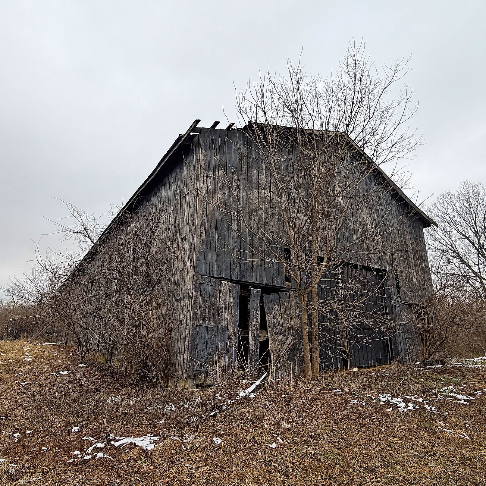 barn.jpg
