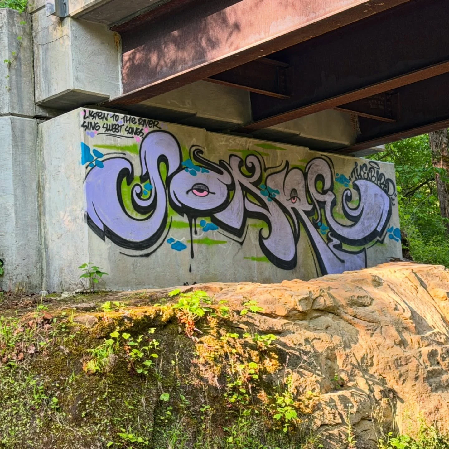 18076719545404921.jpg