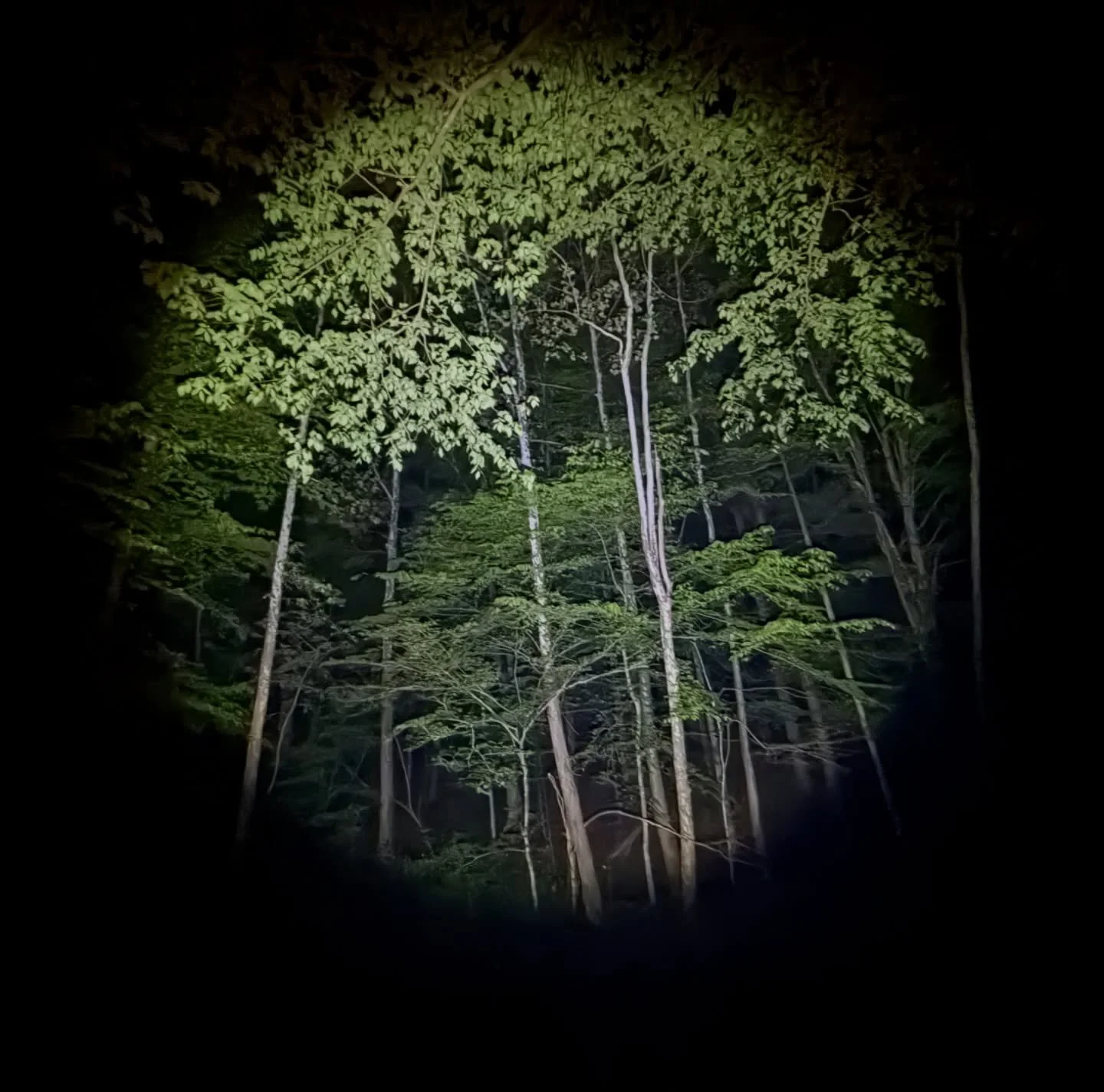 18579701254008636.jpg