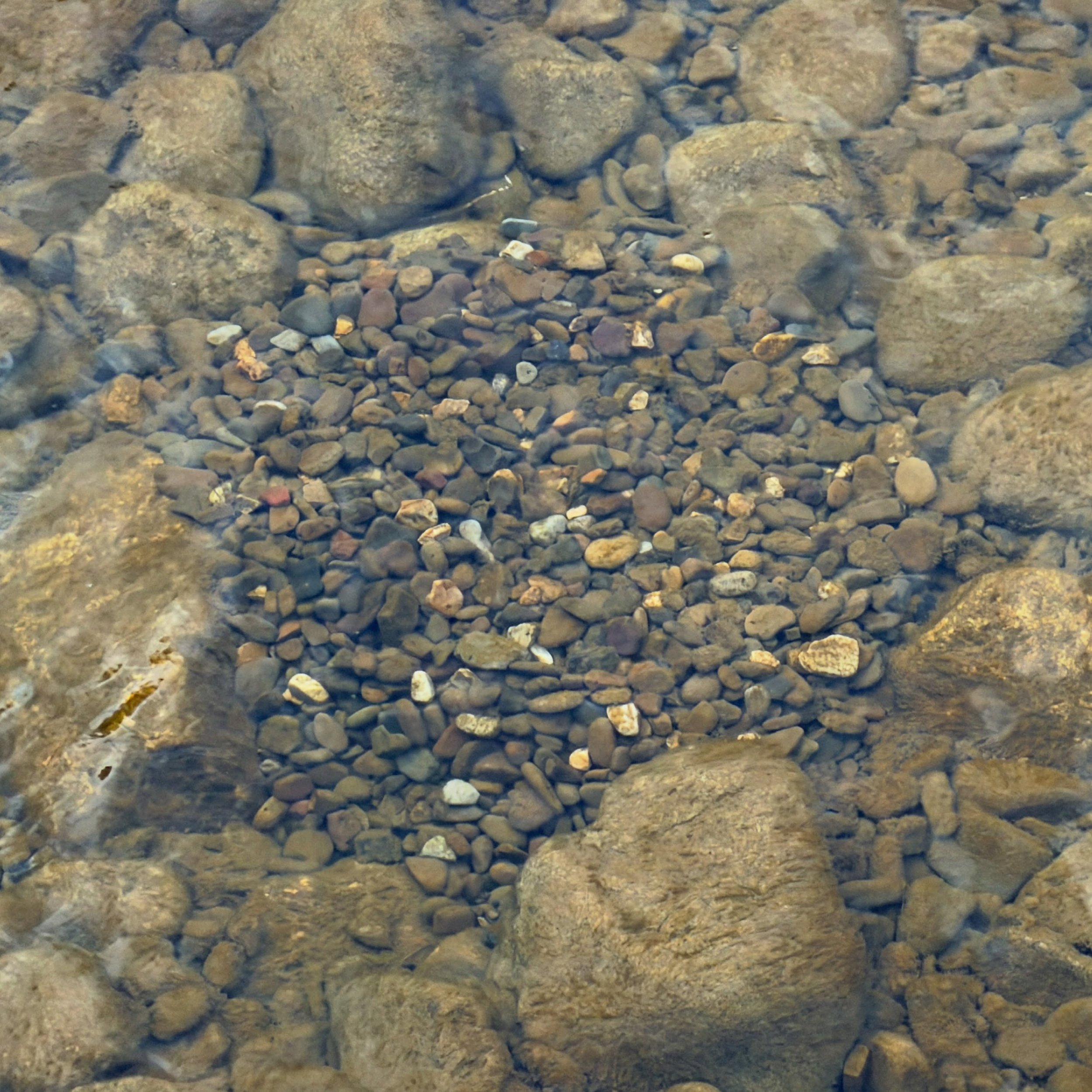 18104529797016193.jpg