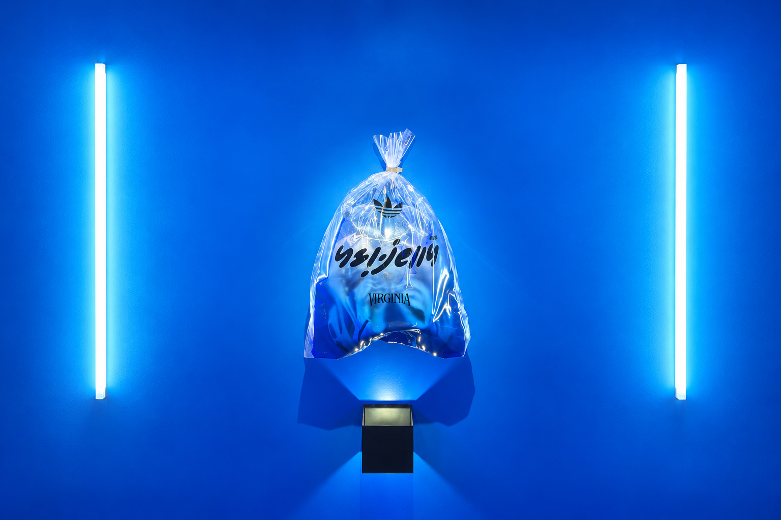 ADIDAS x VIRGINIA JELLYFISH.png