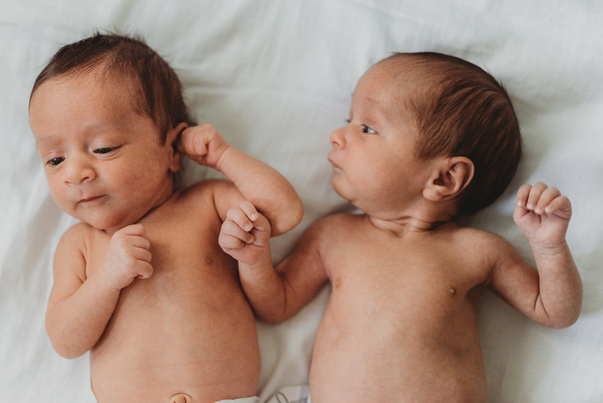 cecilia + micah - newborn