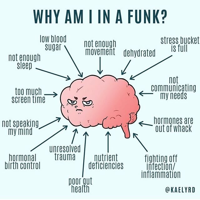 🤪ARE YOU A FUNK?🤪
・・・
Are you in a funk??⁣ 🙋&zwj;♀️
when I asked you to describe your mood in my stories yesterday like 90% of you said &ldquo;im just in a funk&rdquo; ⁣
⁣
As you can see there are a lottttt of possible reasons why your mood is in 