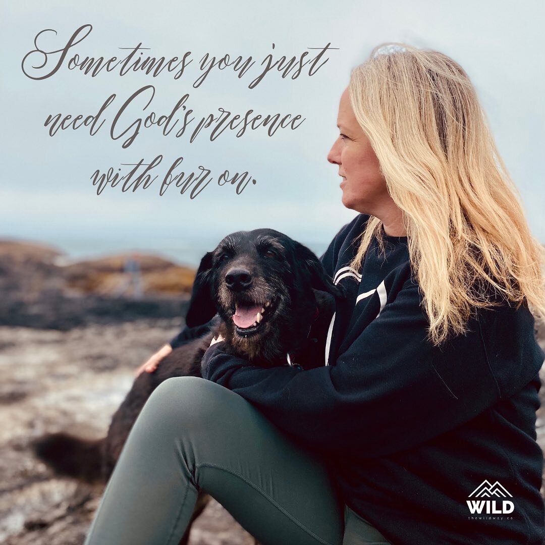 Sometimes you just need God&rsquo;s presence with fur on.

#wildwaytribe #dogsofinstagram #peaceful #spiritualformation @finnysadventures