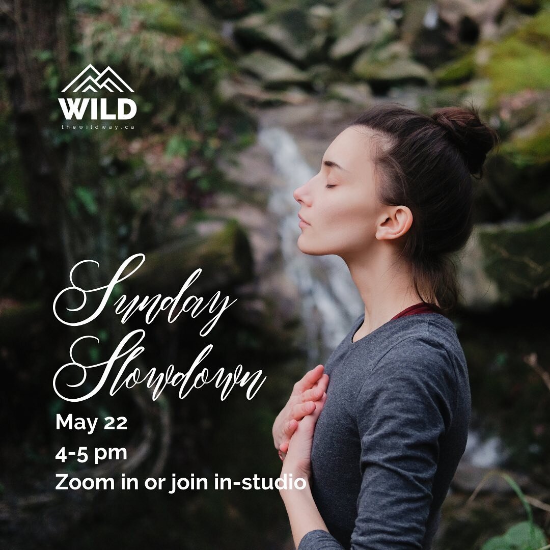 Come and slowdown with us tomorrow, in the studio or online via Zoom, from 4-5 Pacific! For details, see the link in our story. 
#wildwaytribe #yogafaith #christianyoga #wildsundayslowdown