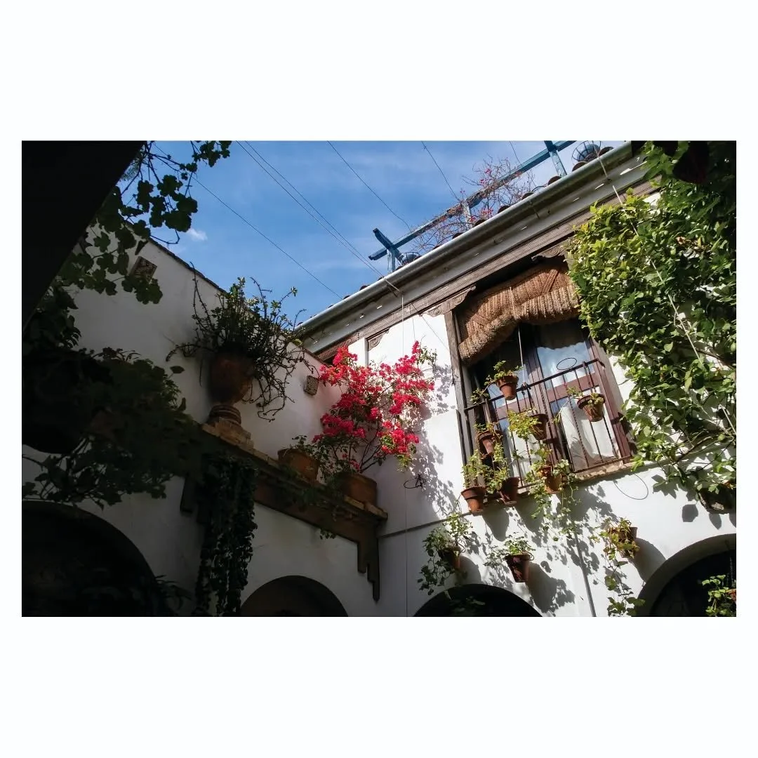 Patio de C&oacute;rdoba (2023)