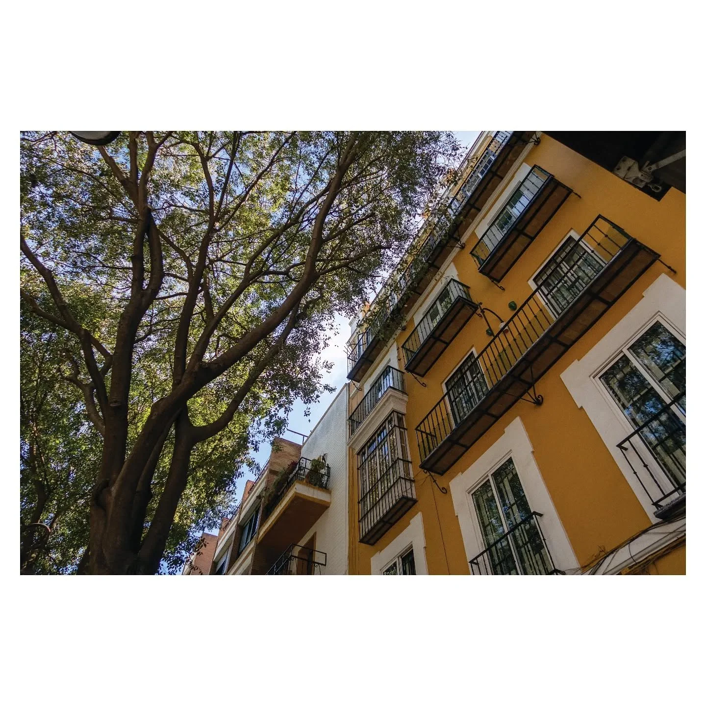 Sevilla, Spain (2023)
