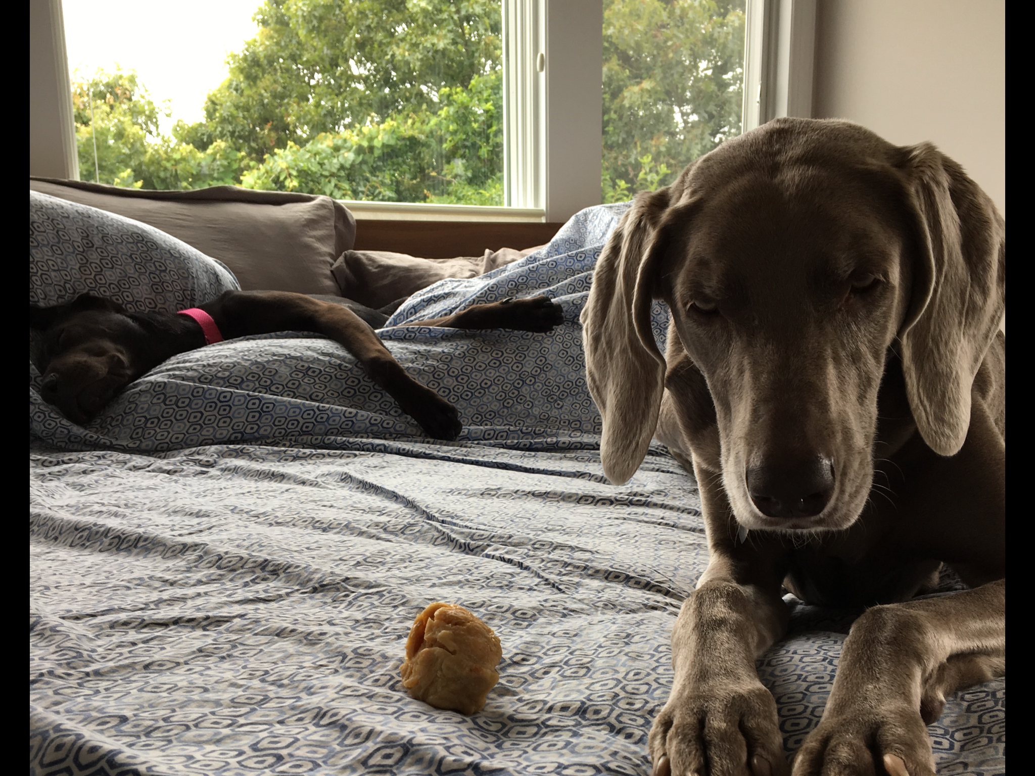 It’s Mine!