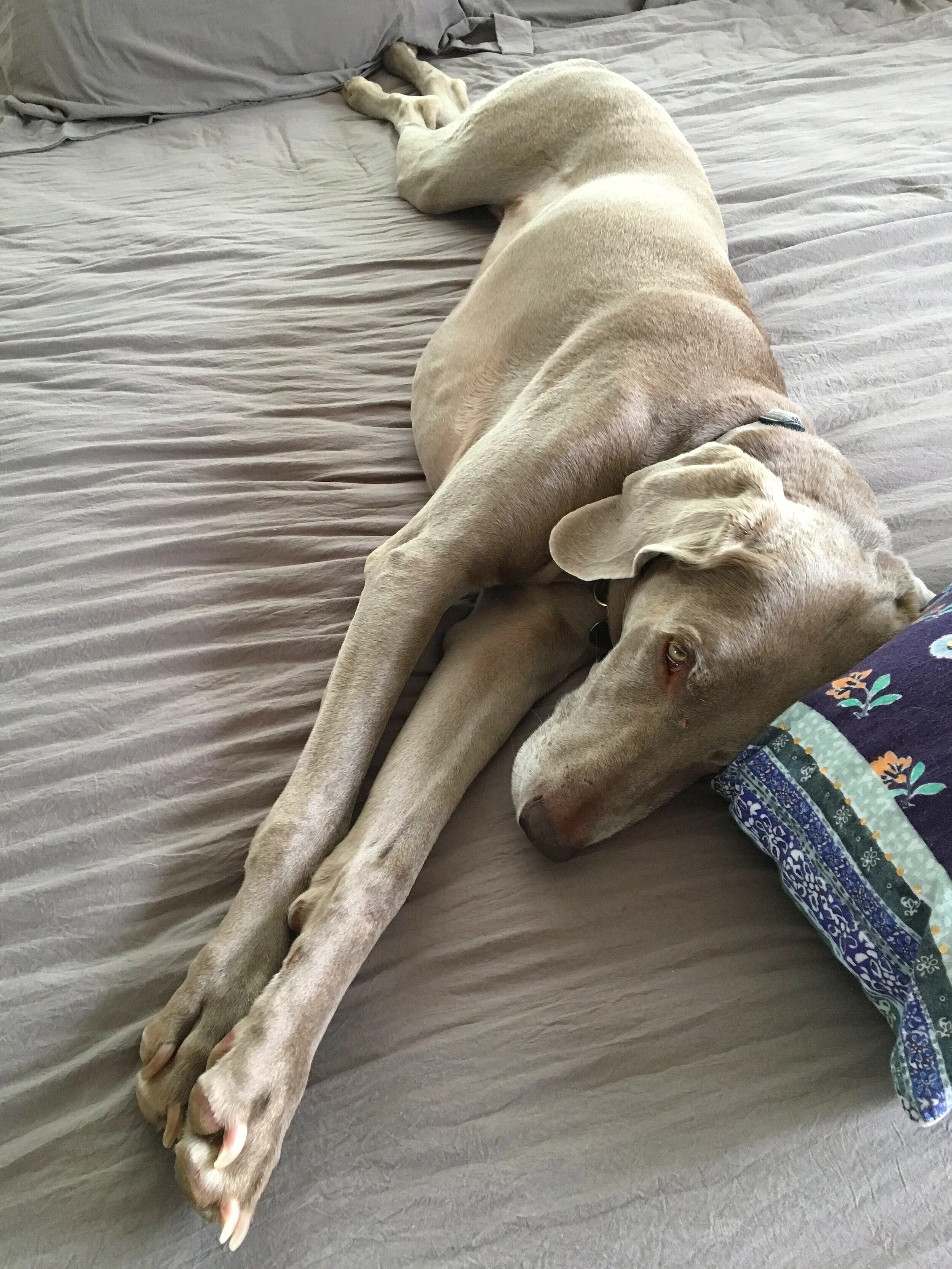 Is there Room for You?