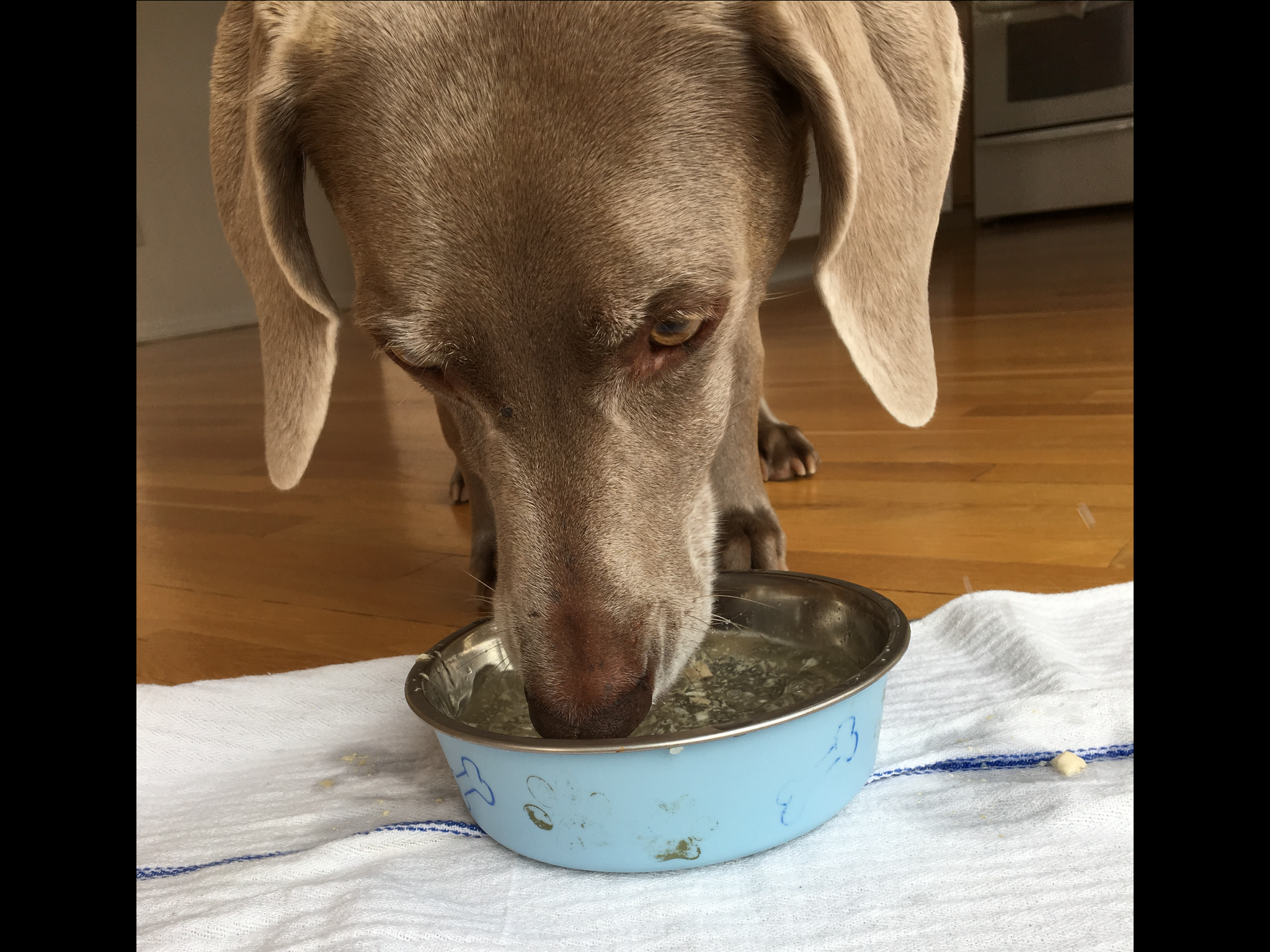 Chicken Water