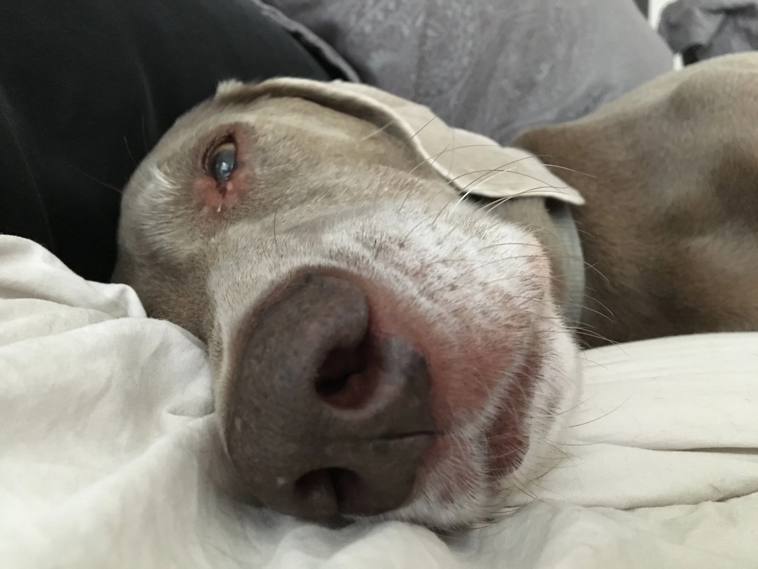 Hiccups!