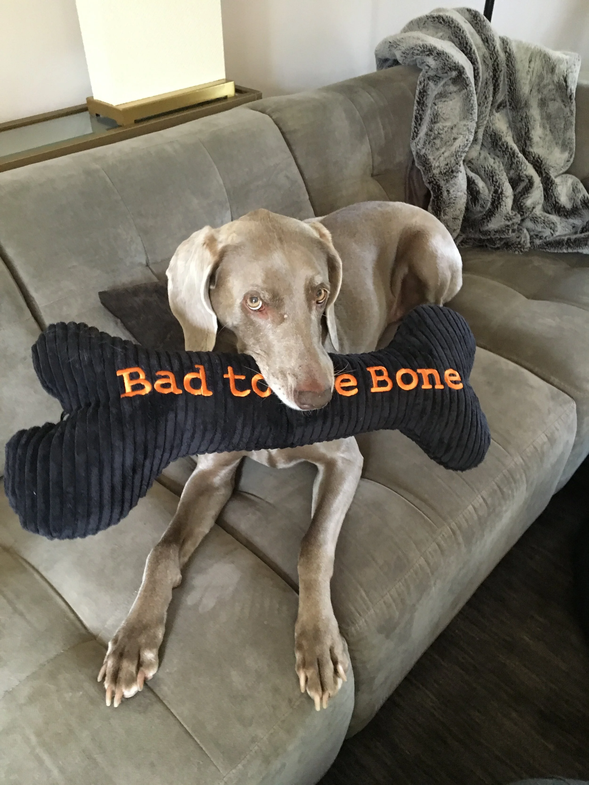 Bad Is The New Good