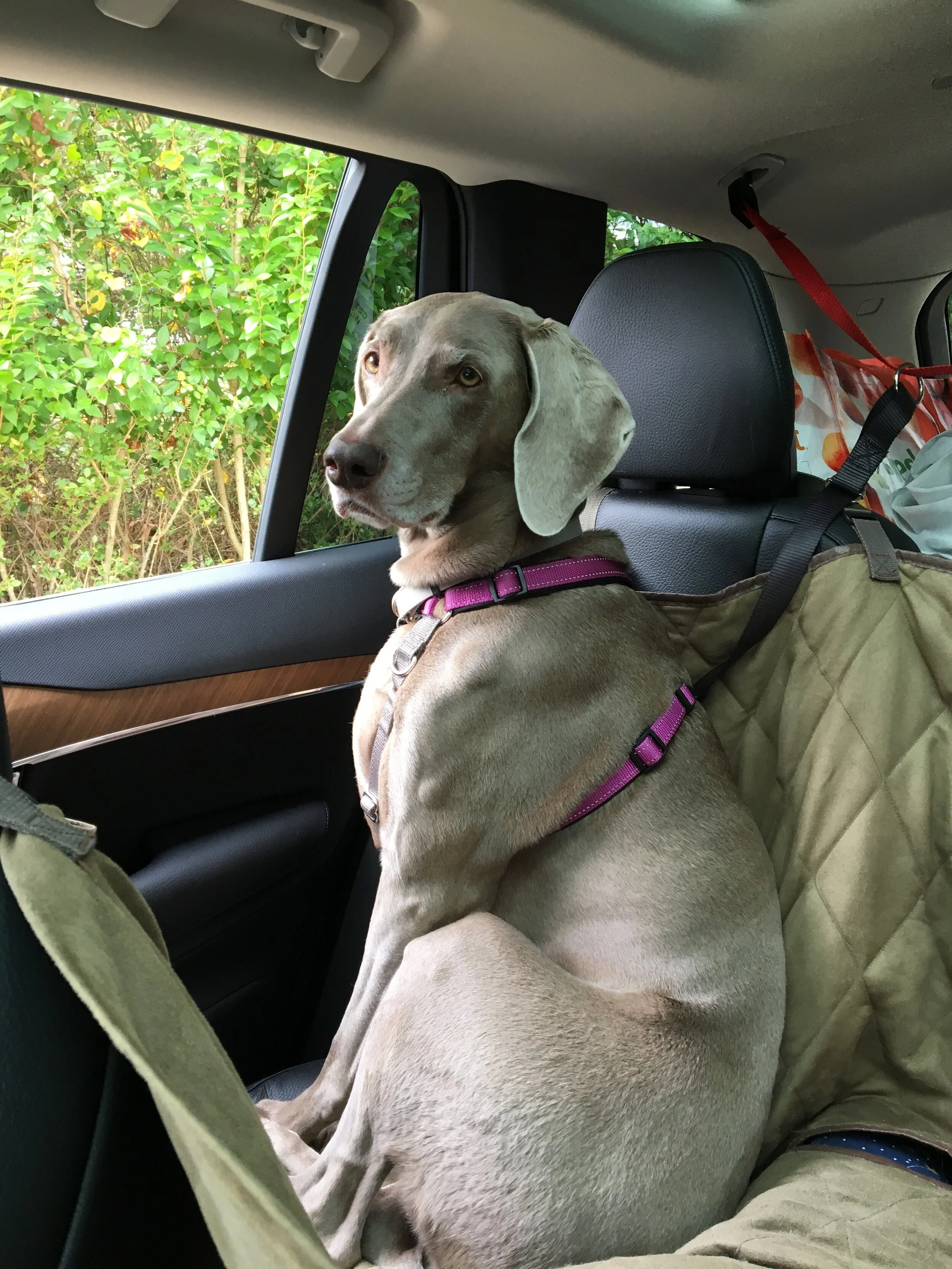 Take Me HOME…