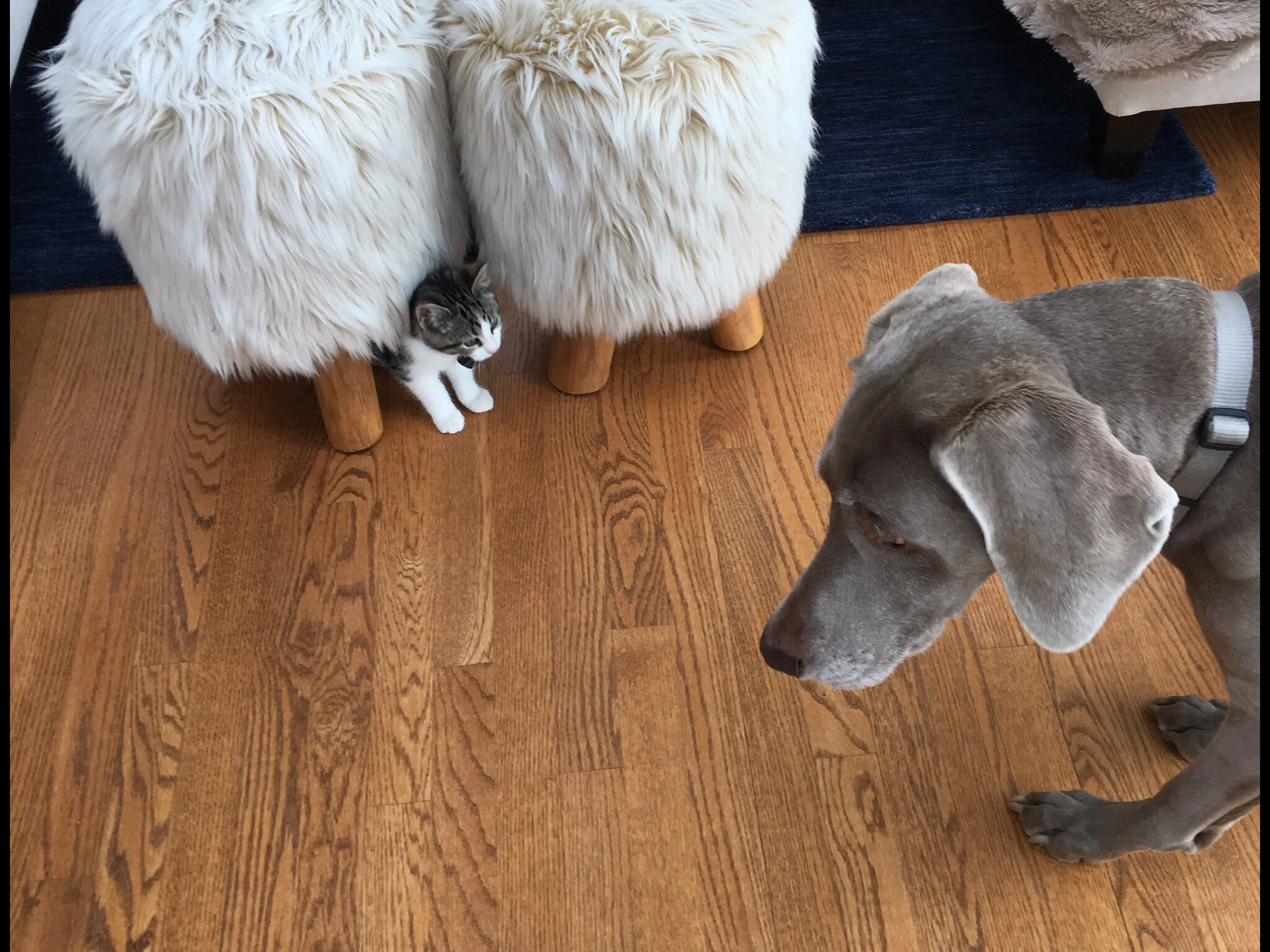 Luke, Meet Heidi