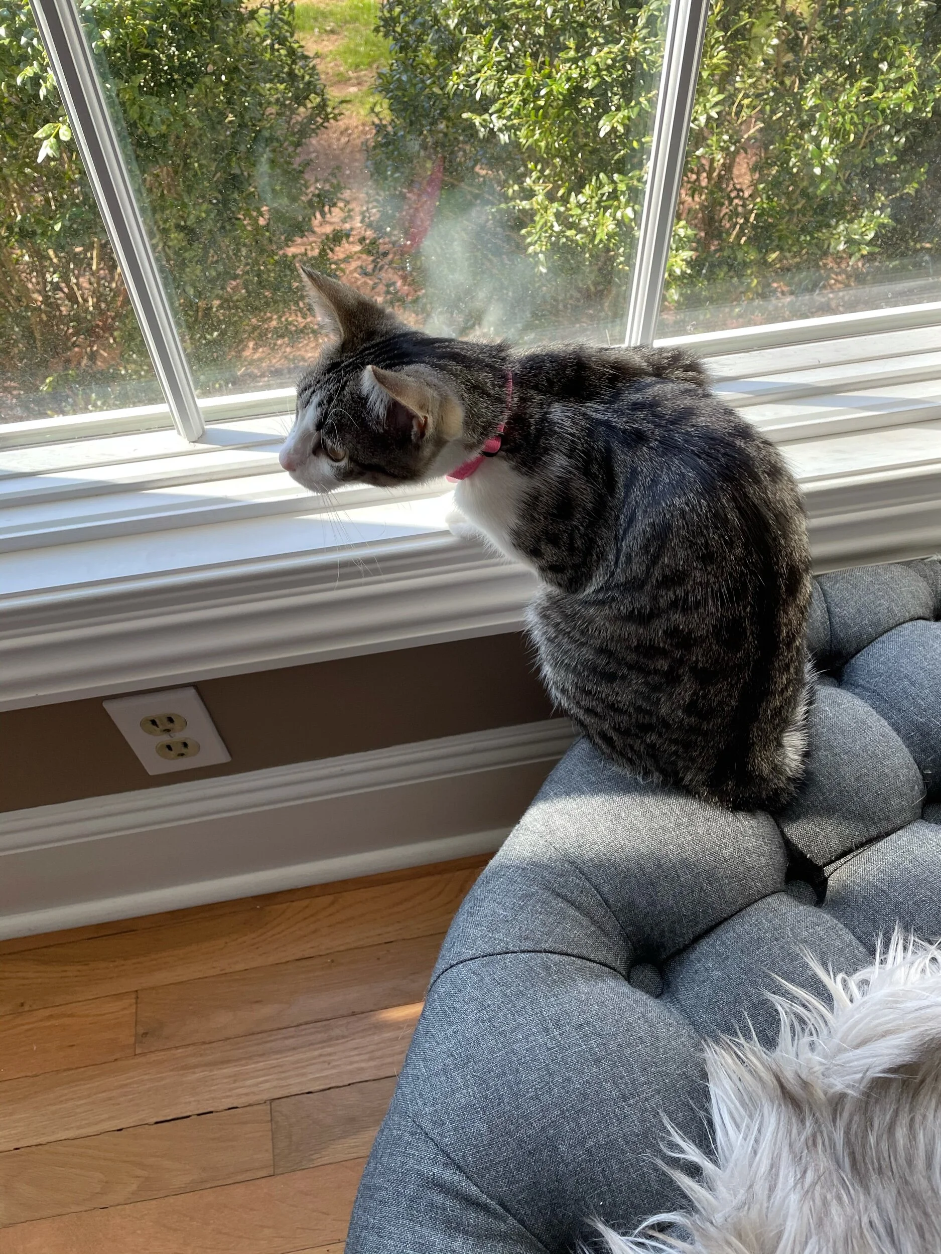 IMG_7209.jpeg