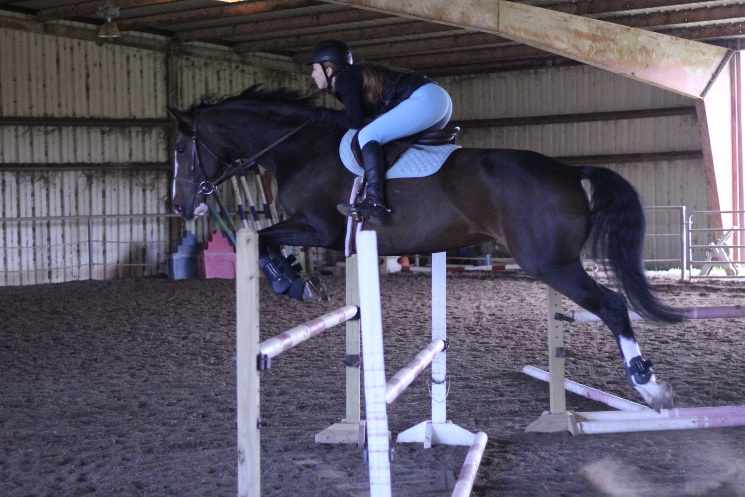 Summer Riding Camp - Advanced 