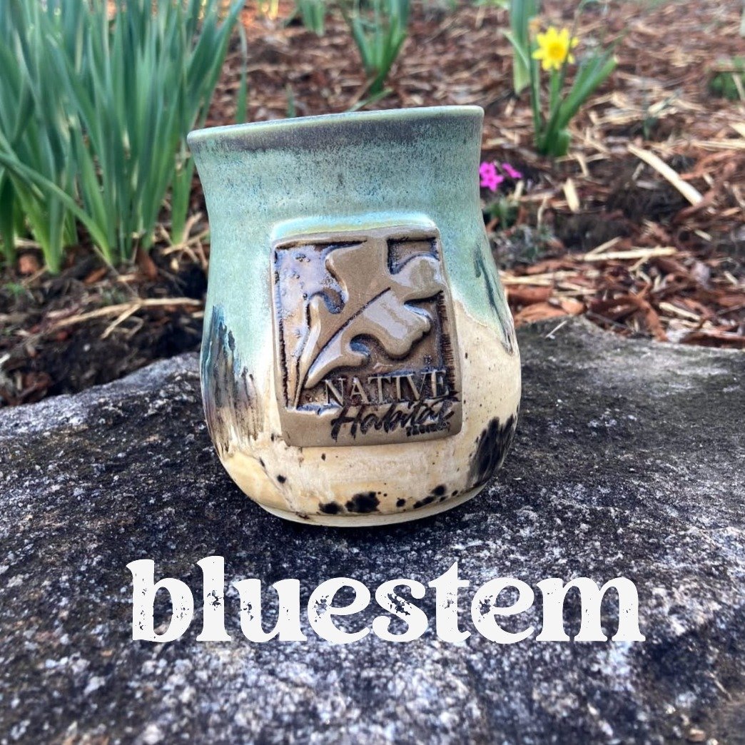 bluestem2.JPG