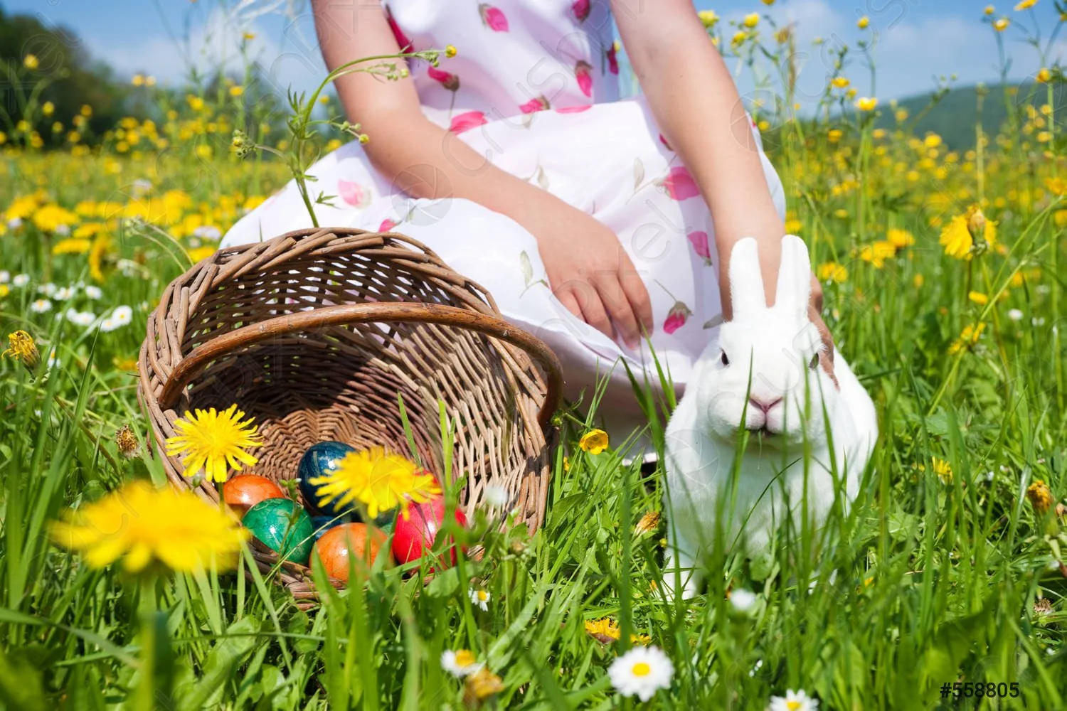 girl-sitting-with-easter-bunny-558805.jpg