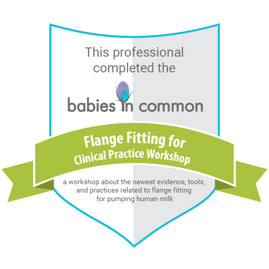  Our team has competed the flange fitting workshop with Babies in Common 