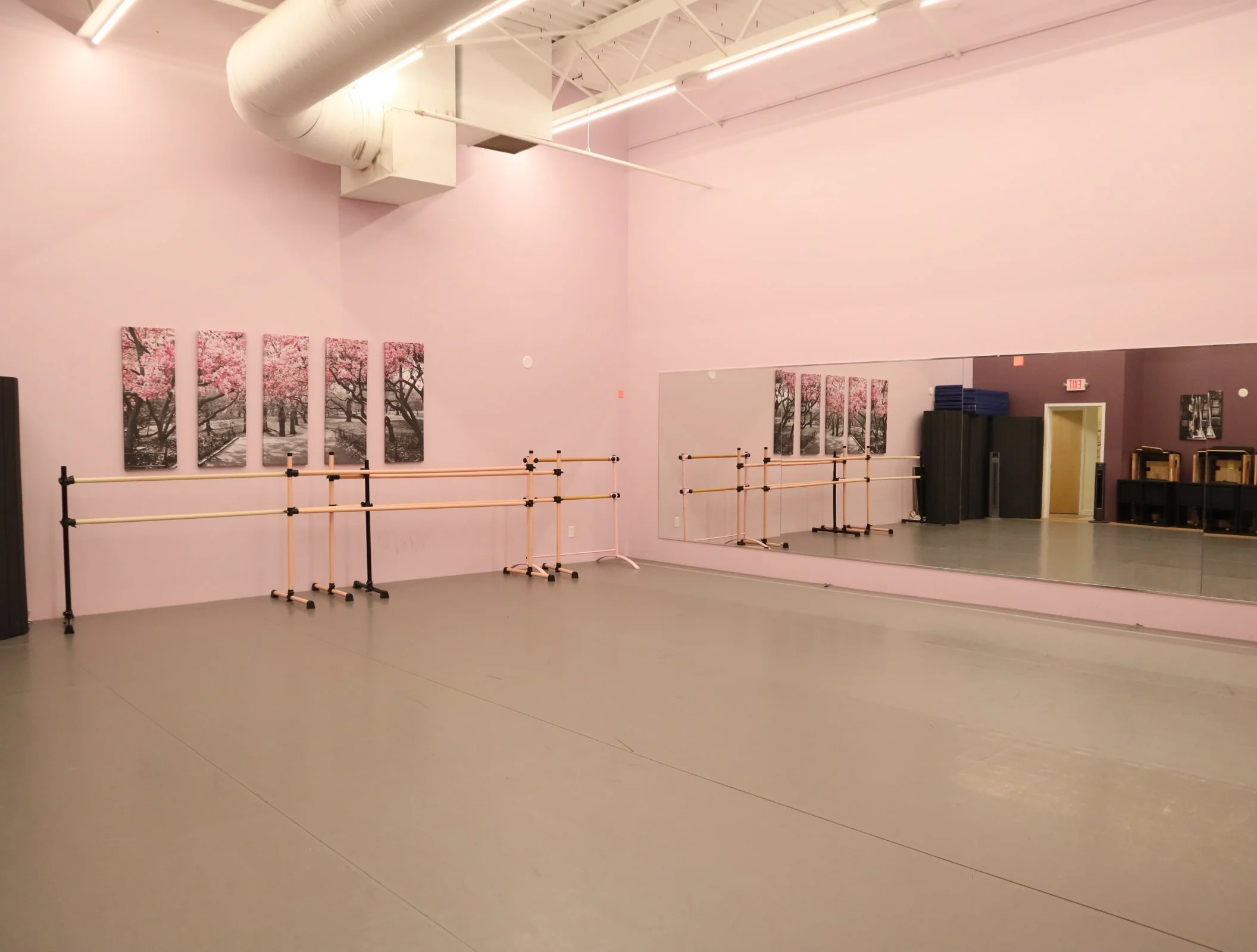 Empty ballet studio with pink walls, ballet barres, large wall mirror, and artwork of cherry blossoms