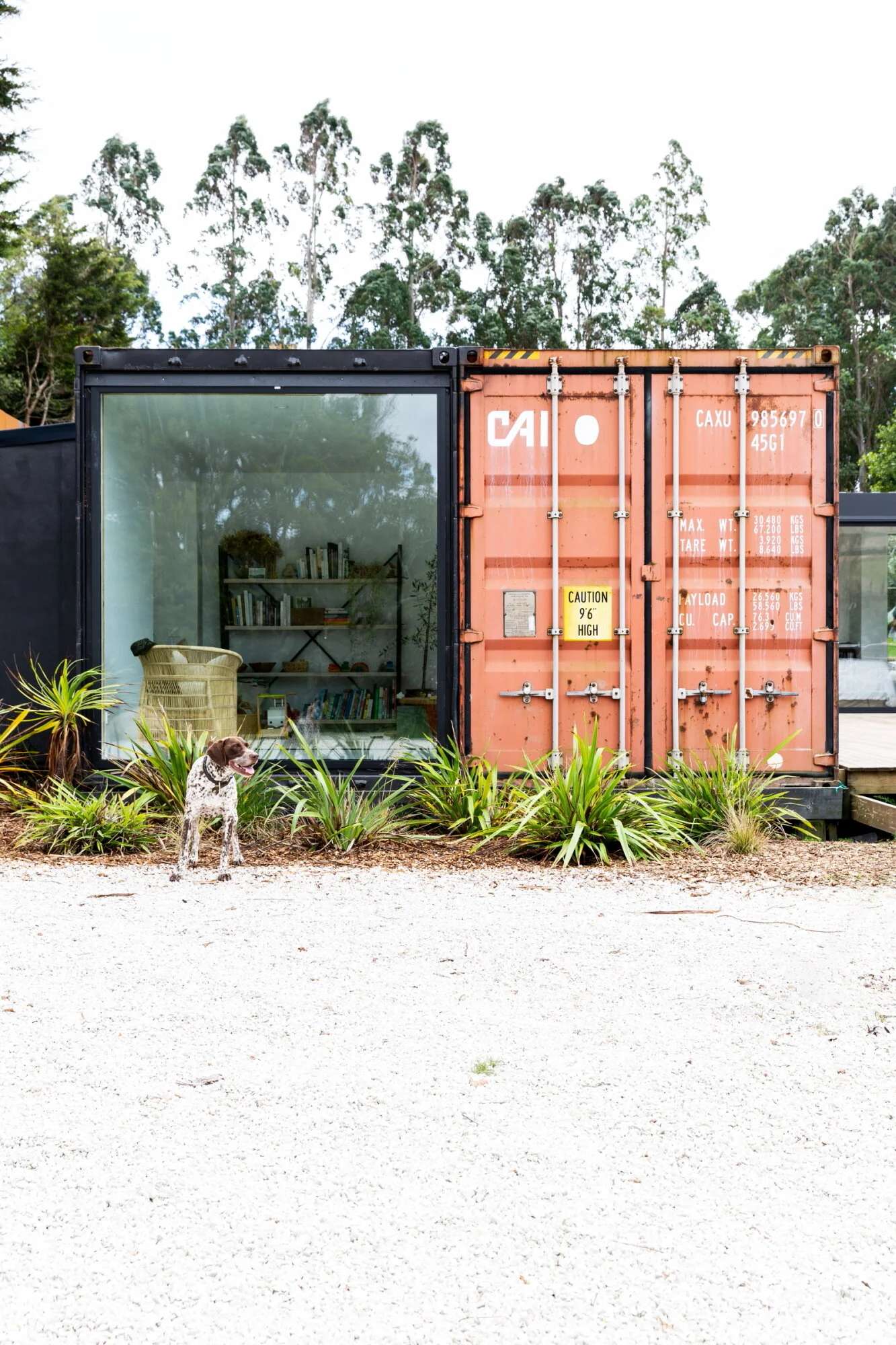 Larnie Nicolson - 4.JPG