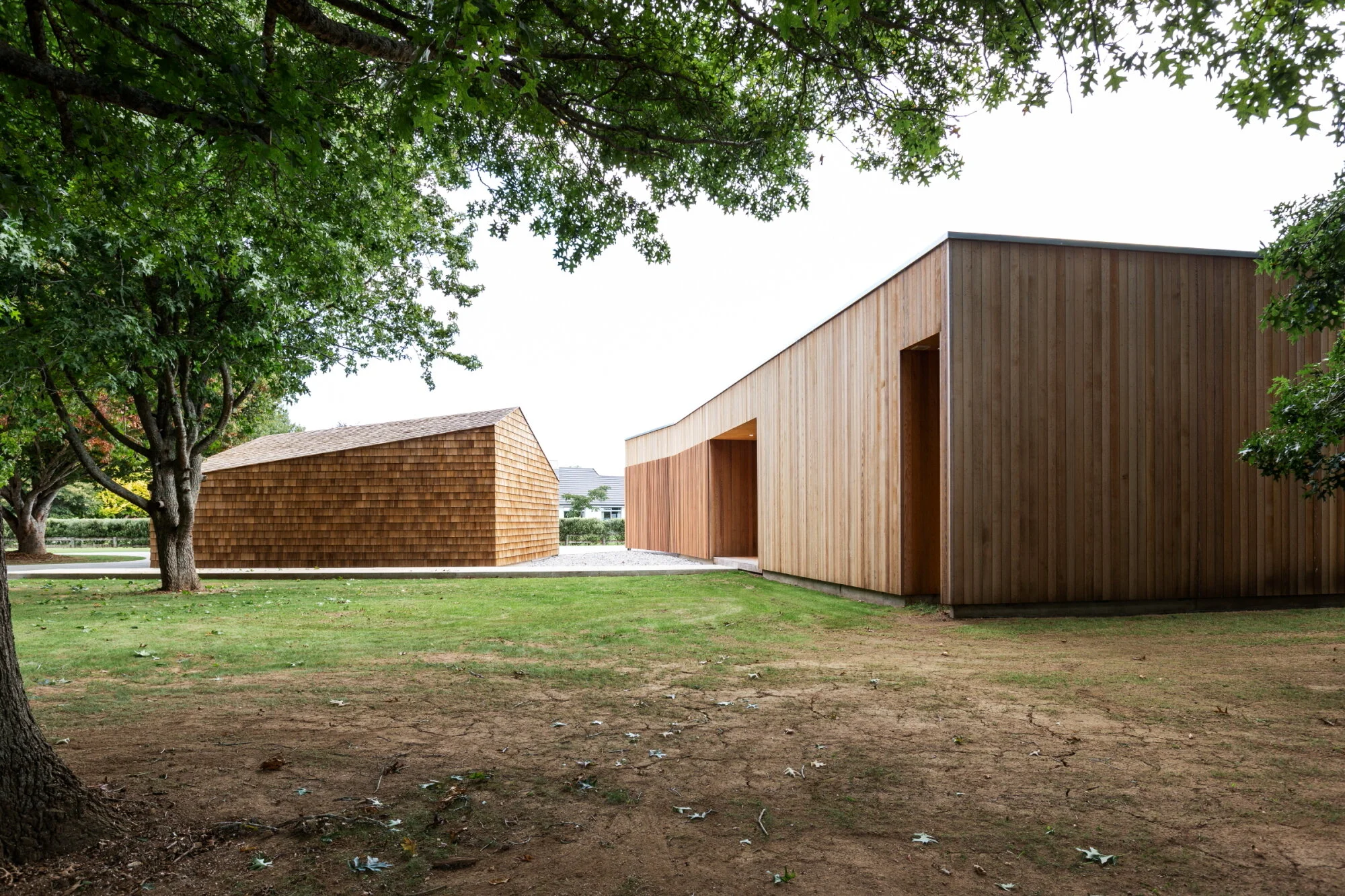 Larnie Nicolson - 3.JPG