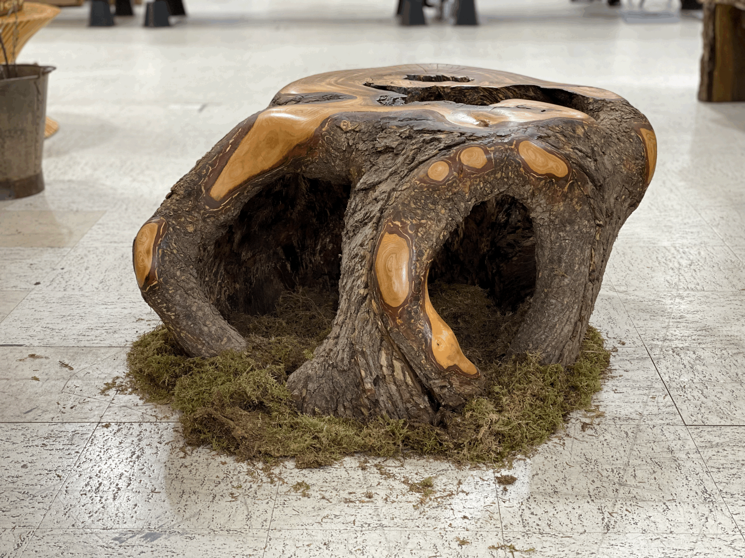 Siberian Elm Coffee Table,     35 x 28 x 18 