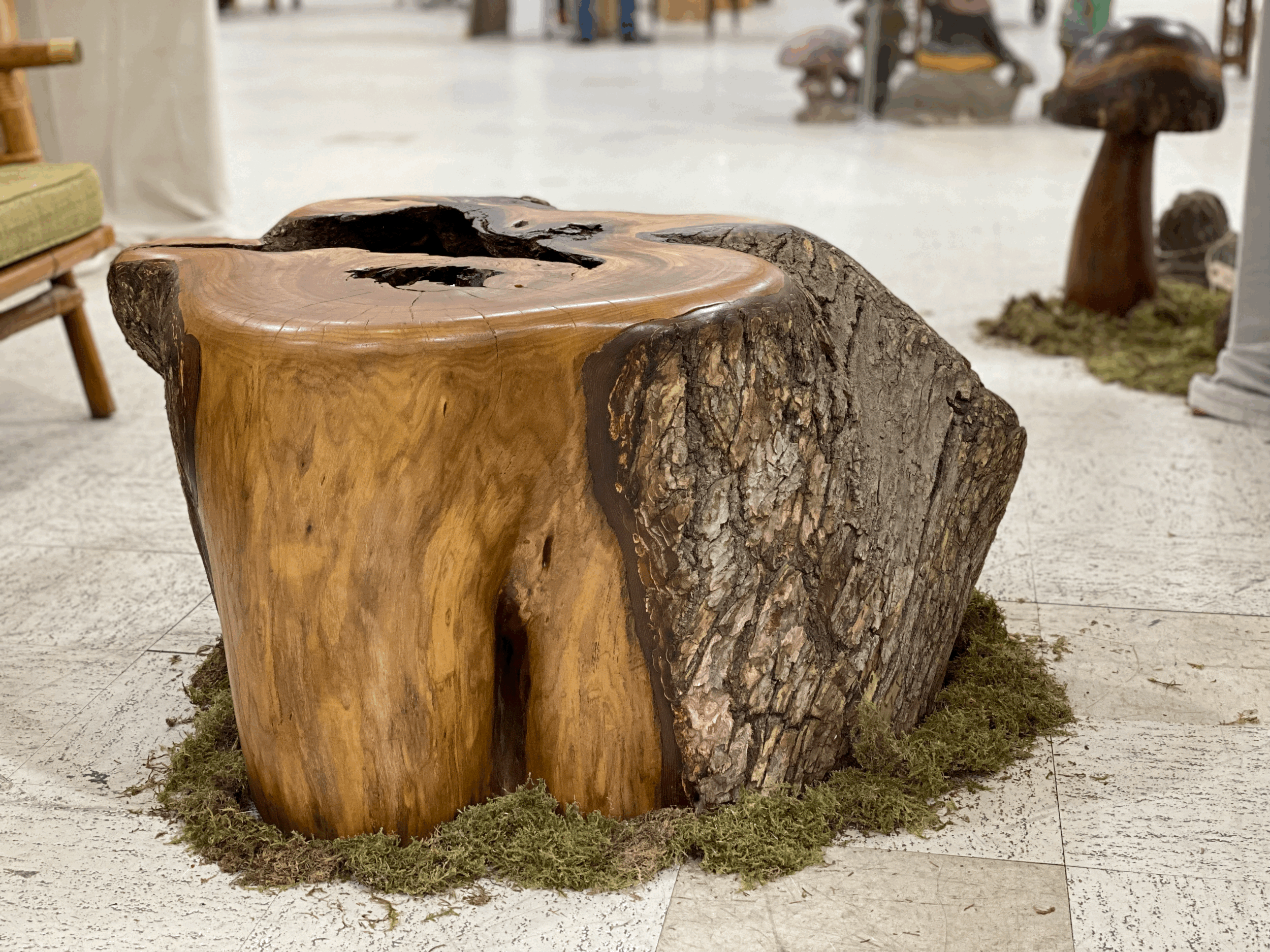 Siberian Elm Coffee Table,     35 x 28 x 18 