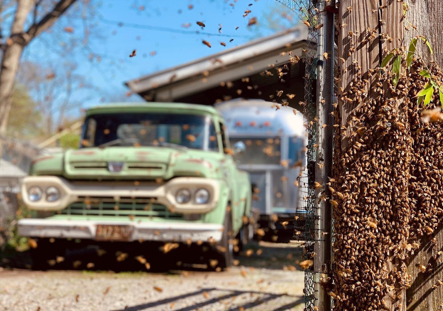 Swarm season is just around the corner and we couldn&rsquo;t be more excited for this time of year! The bees kick it into high gear and expand their hives. As beekeepers we either stay ahead of them through swarm management or we chase them from behi