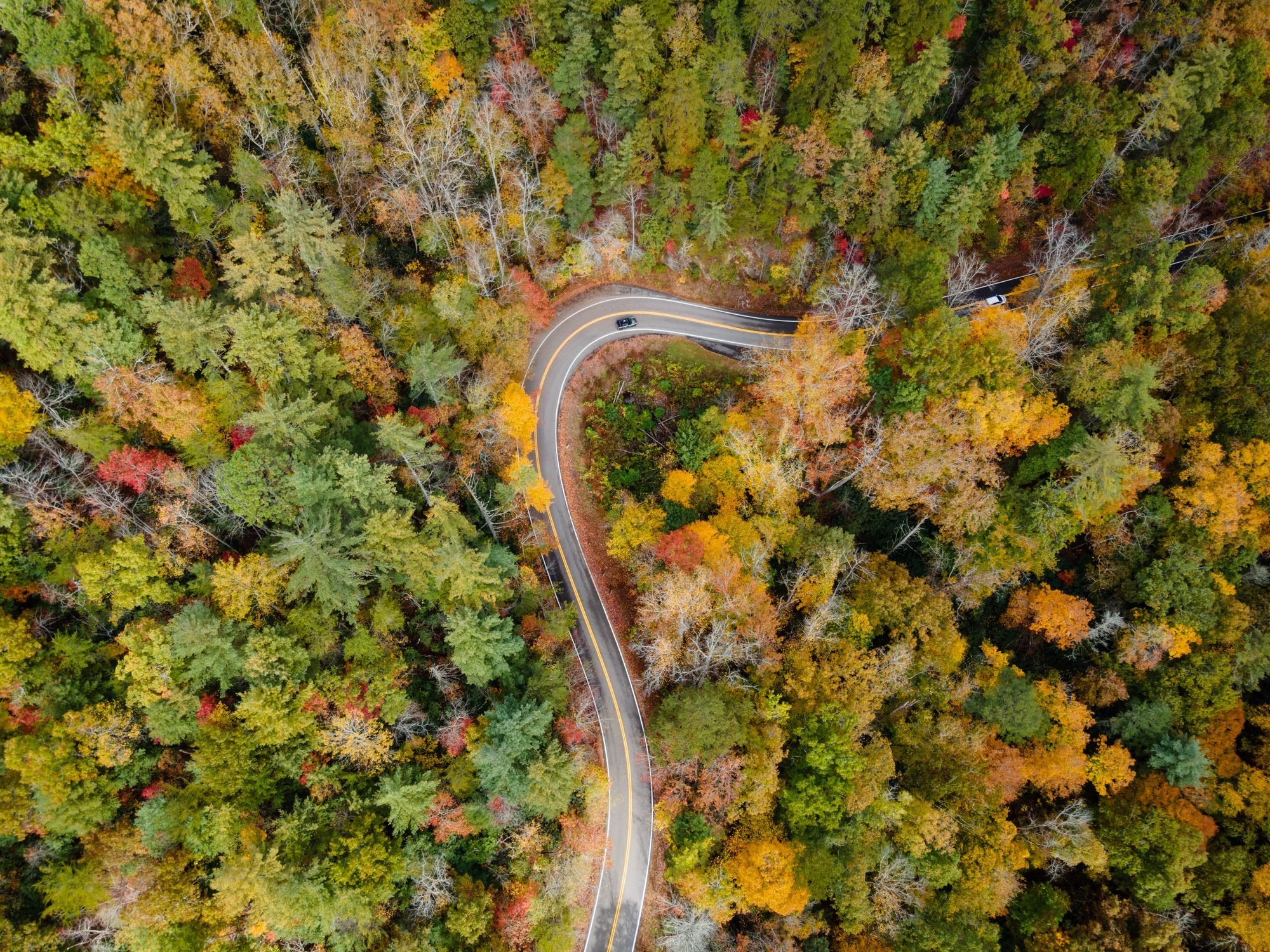 Tail of the Dragon.jpg