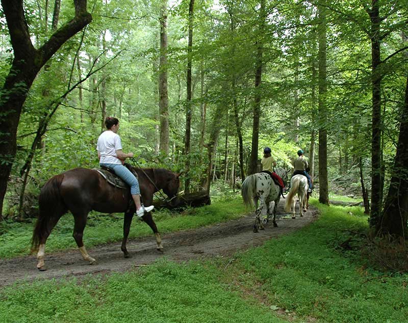 trailride.jpg