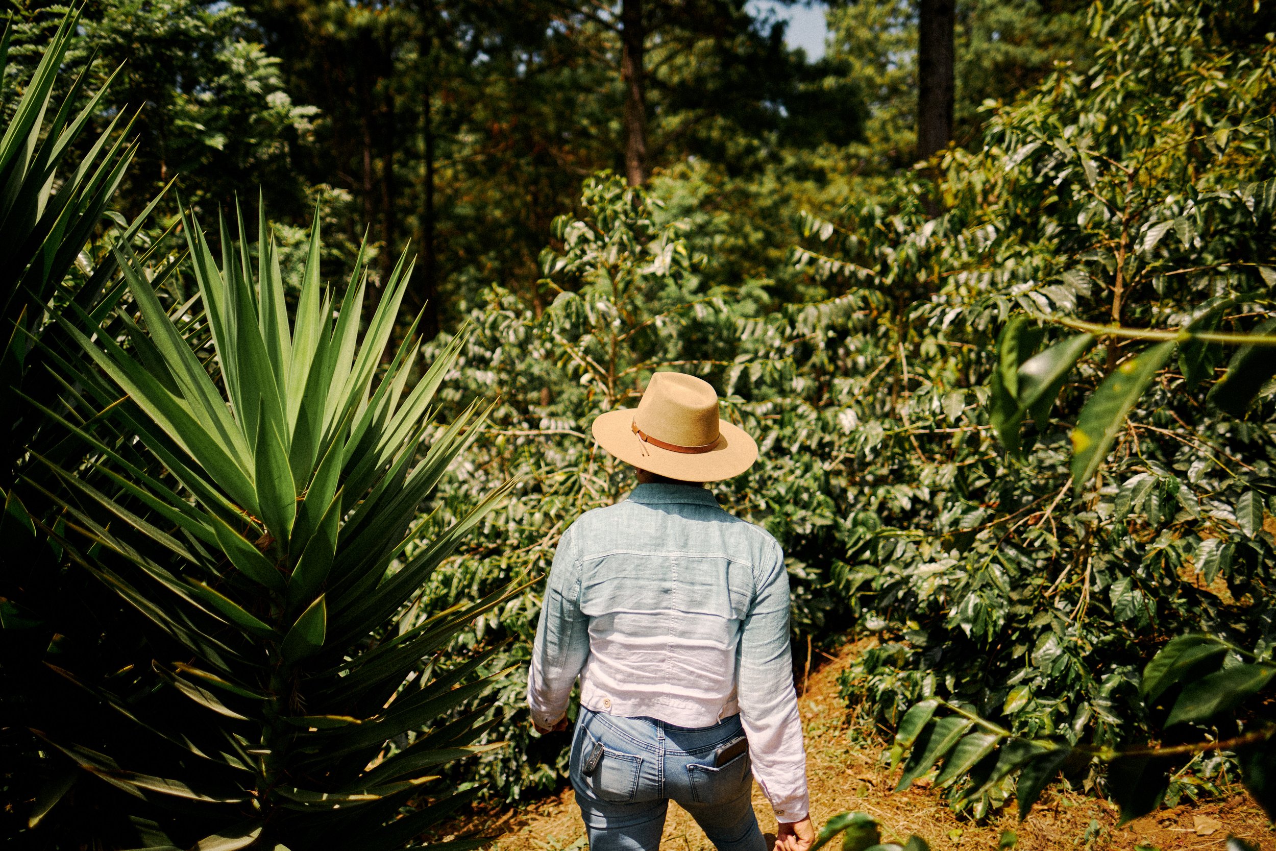 A person walking on a trail surrounded by lush green plants and trees, wearing a wide-brimmed hat, denim jacket, and jeans.