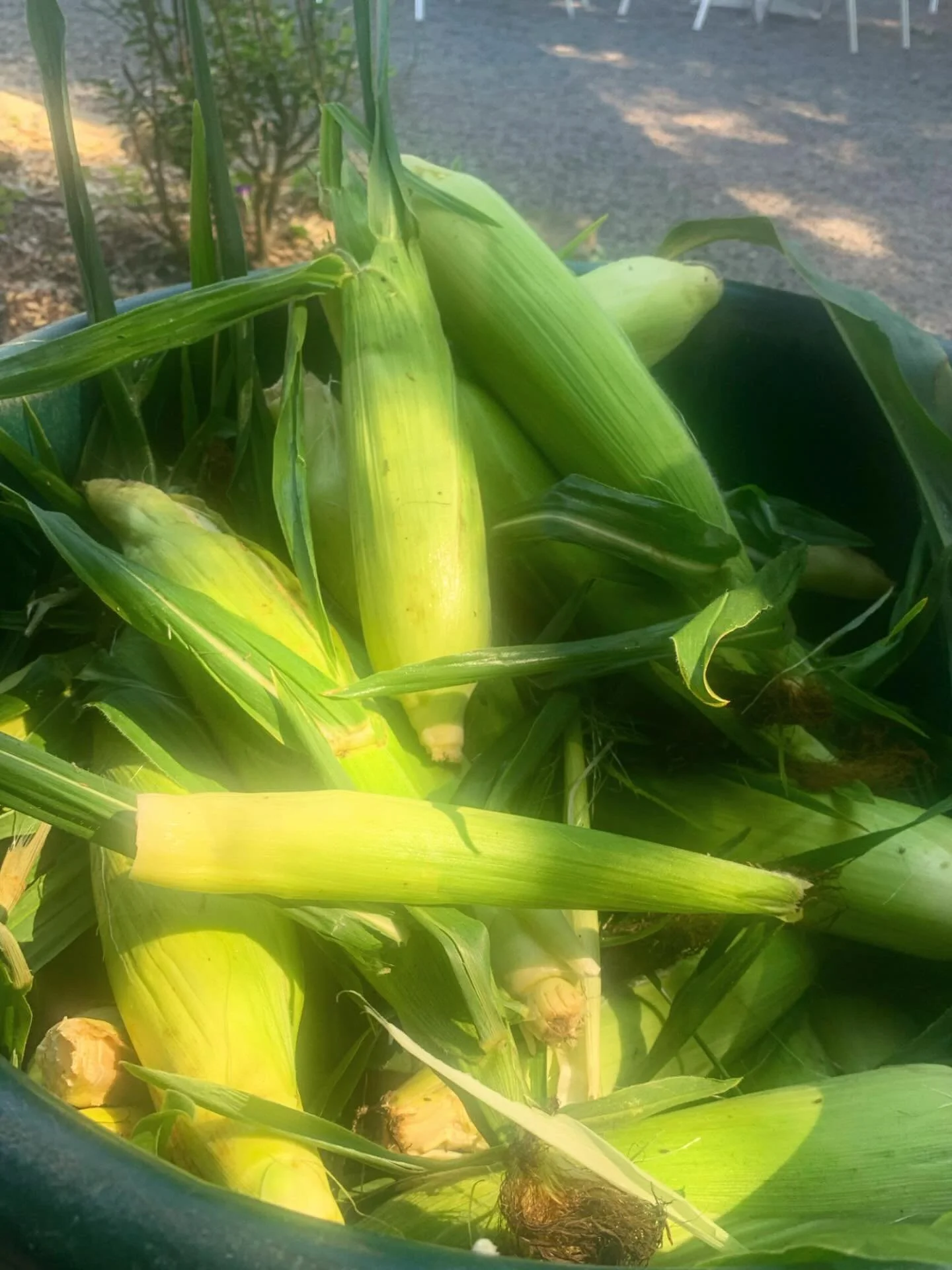 Sweet Corn Ice Cream this weekend