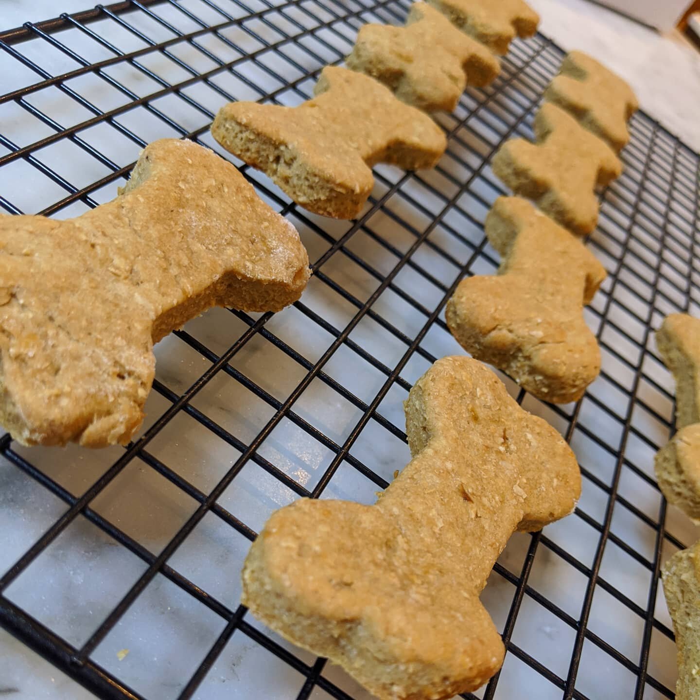 Need to stretch your legs? Take a stroll to Felix Culpa with your pooch to enjoy some coffee and freshly baked dog biscuits! 
#peanutbutterdogbiscuits
.
.
.
.
.
.
.
.
.
#homemade #exercise #local #supportlocal #felixculpacoffee #resevoir #foodaholic 