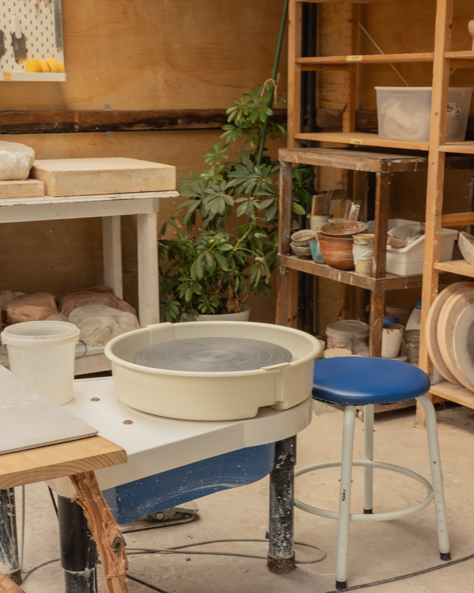 studio.pic-6.jpg