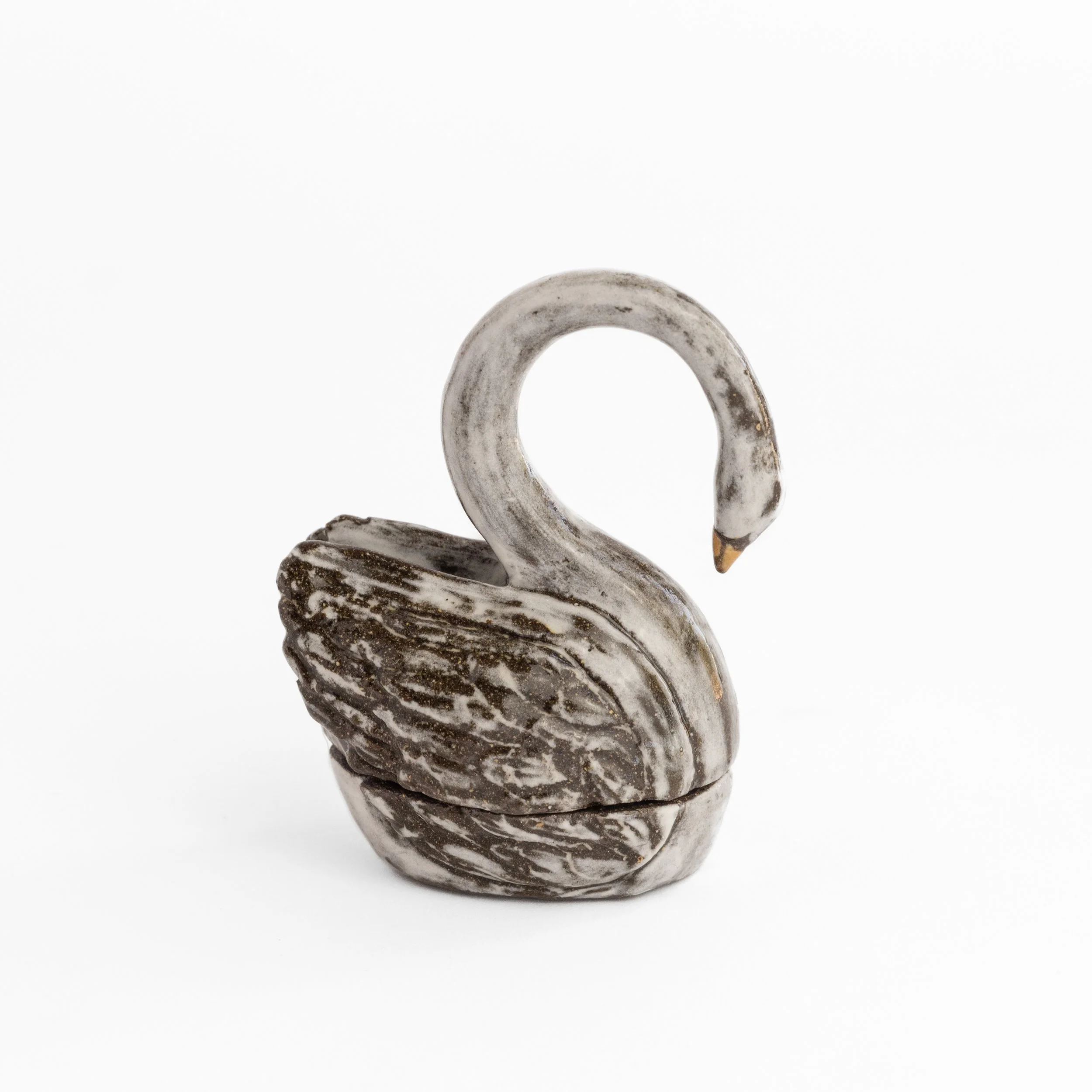 Swan5-1.jpg