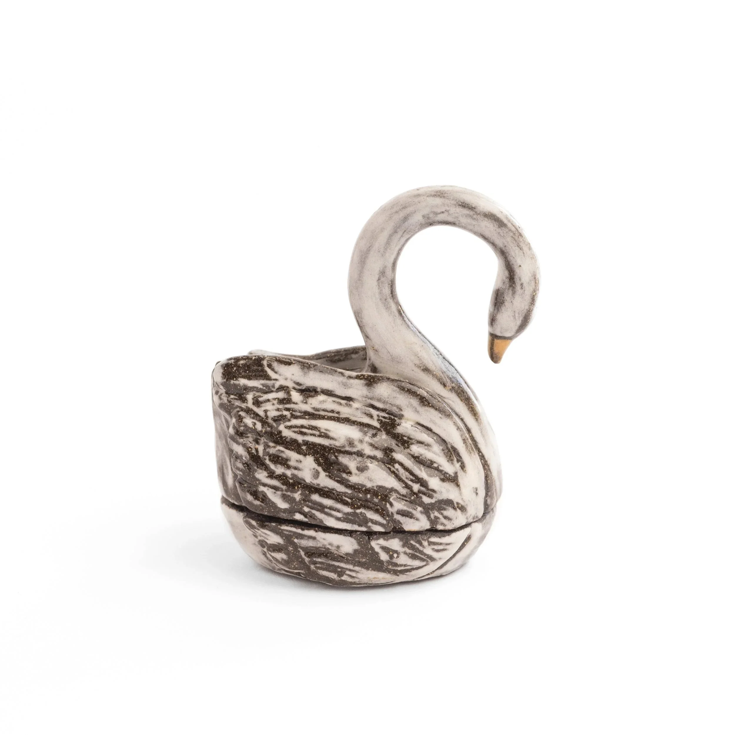 Swan2-1.jpg