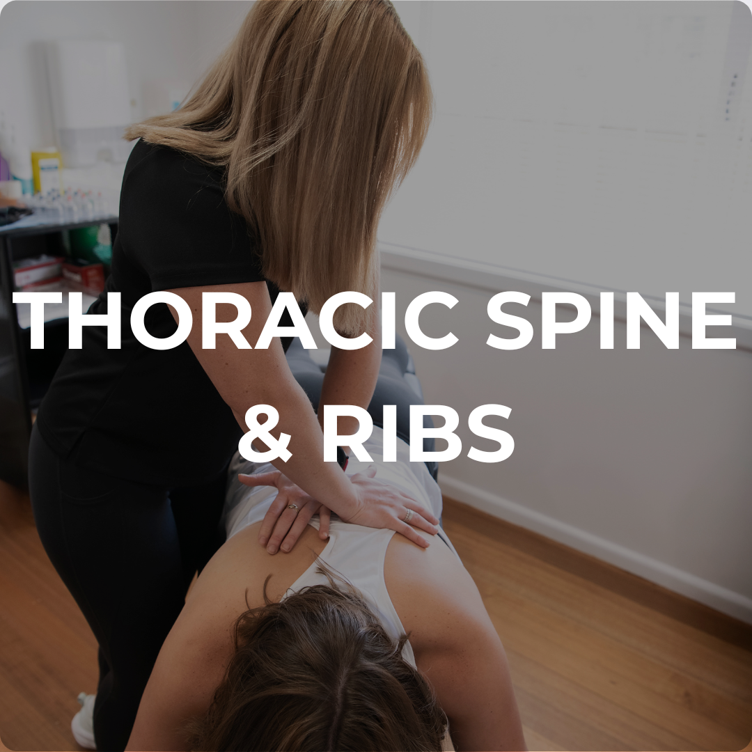 Thoracic Spine & Ribs