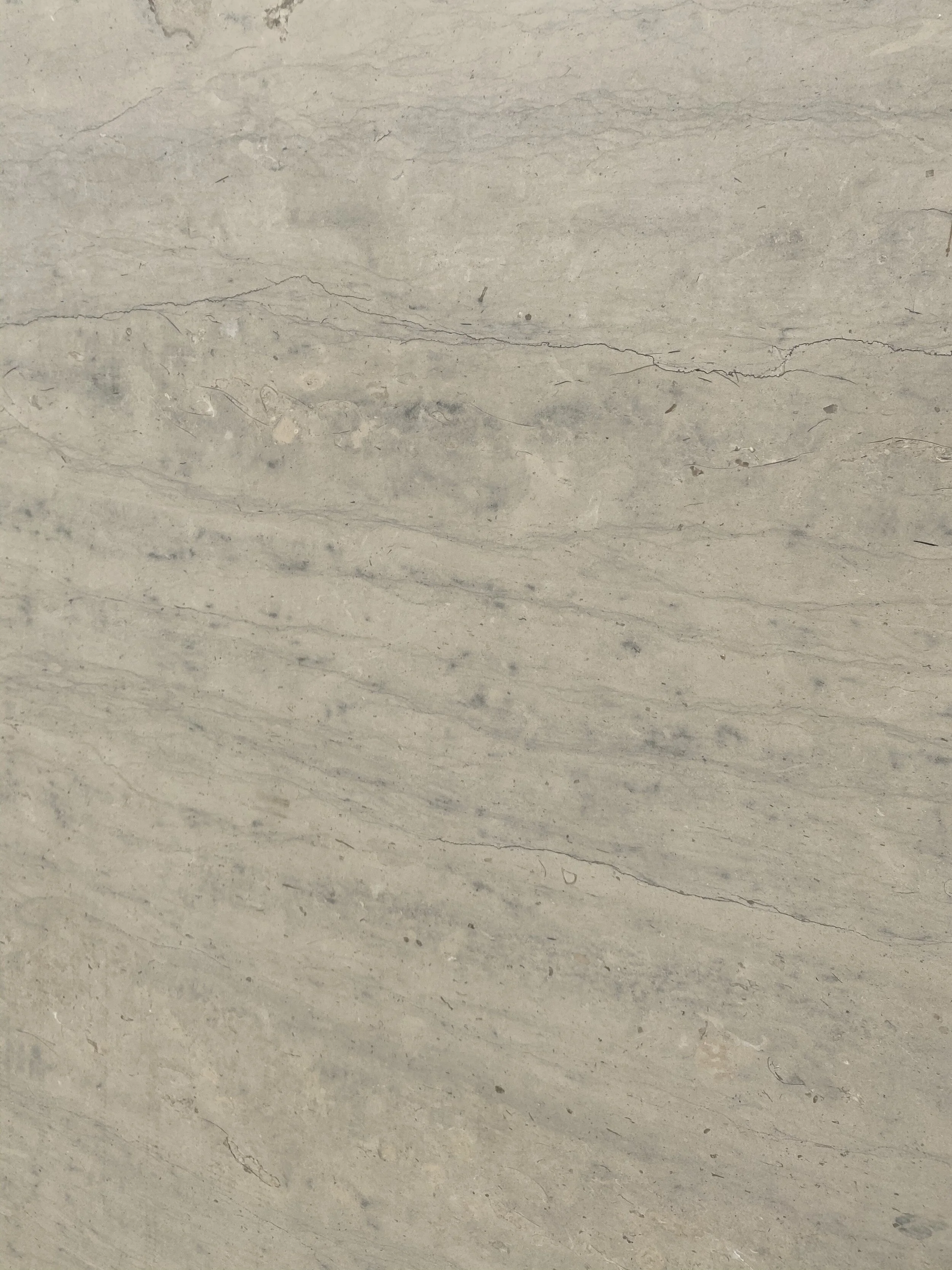 Oyster Grey Vein-Cut | Limestone 