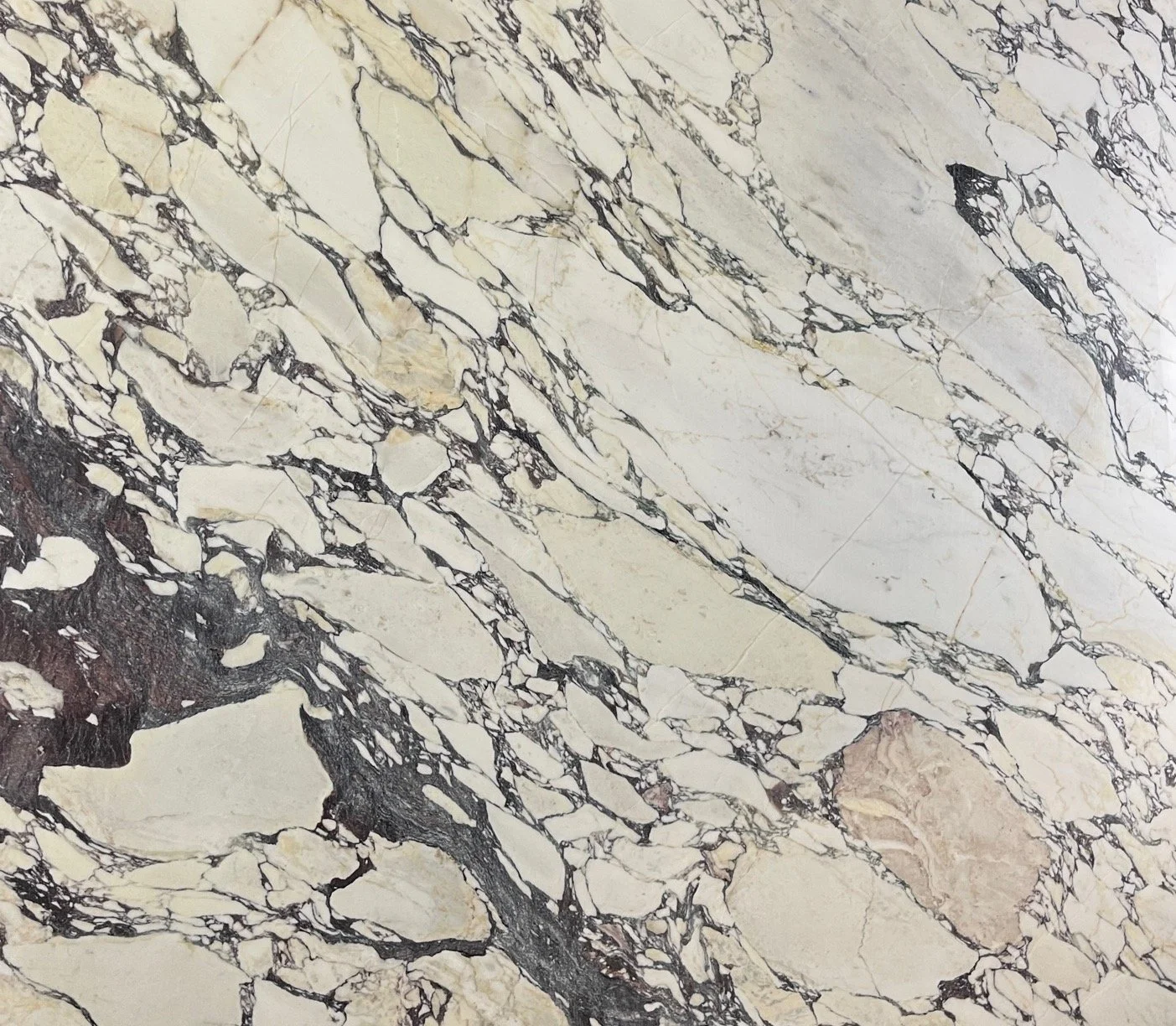 Calacatta Viola 23 | Marble